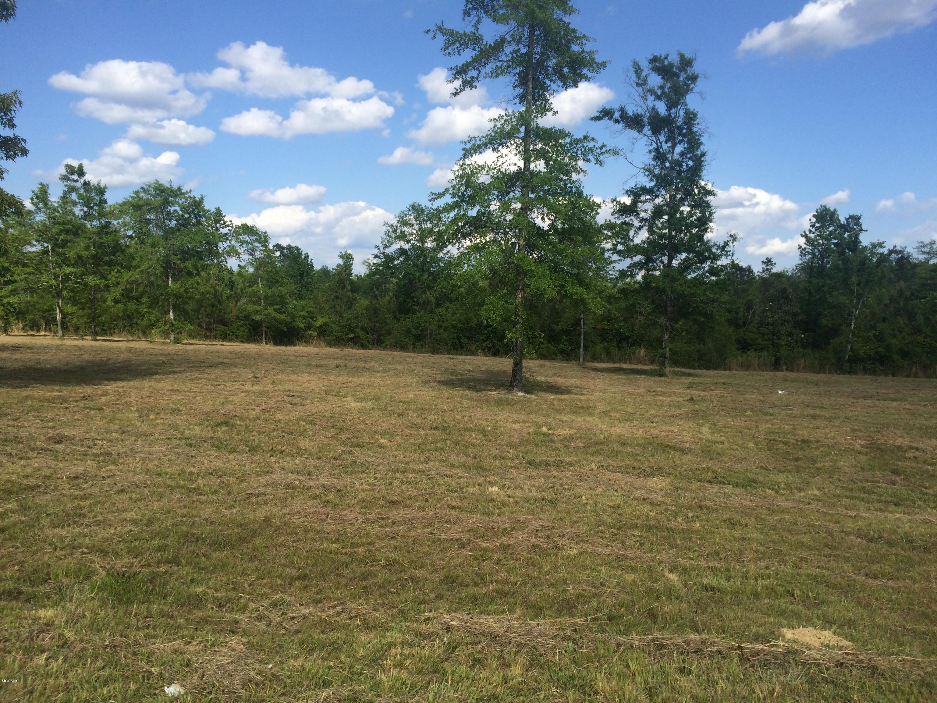 9.3-acres R Moran Road McHenry, MS 39561 - Photo 8 of 17 IMG_3578