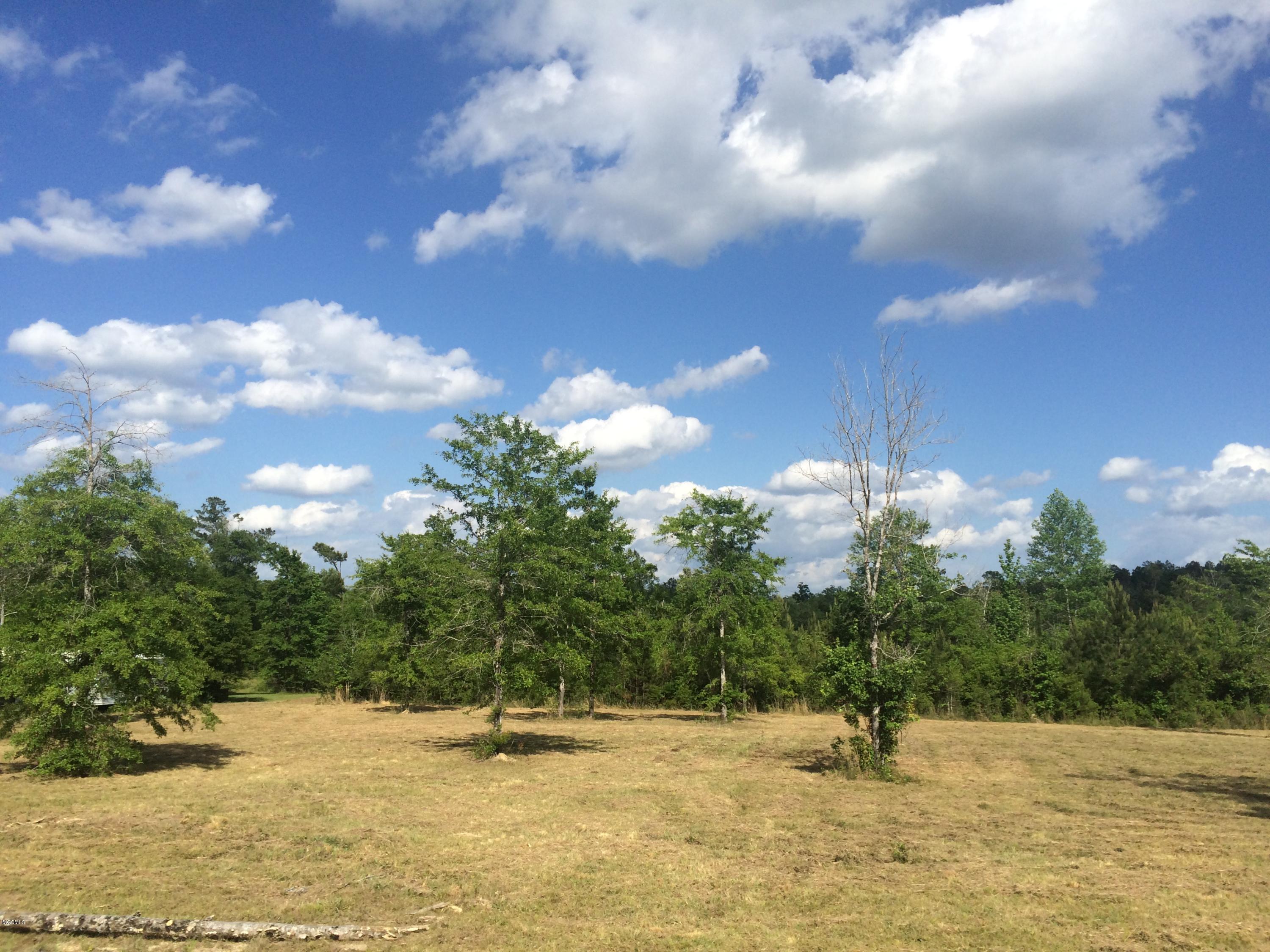 9.3-acres R Moran Road McHenry, MS 39561 - Photo 10 of 17 IMG_3585
