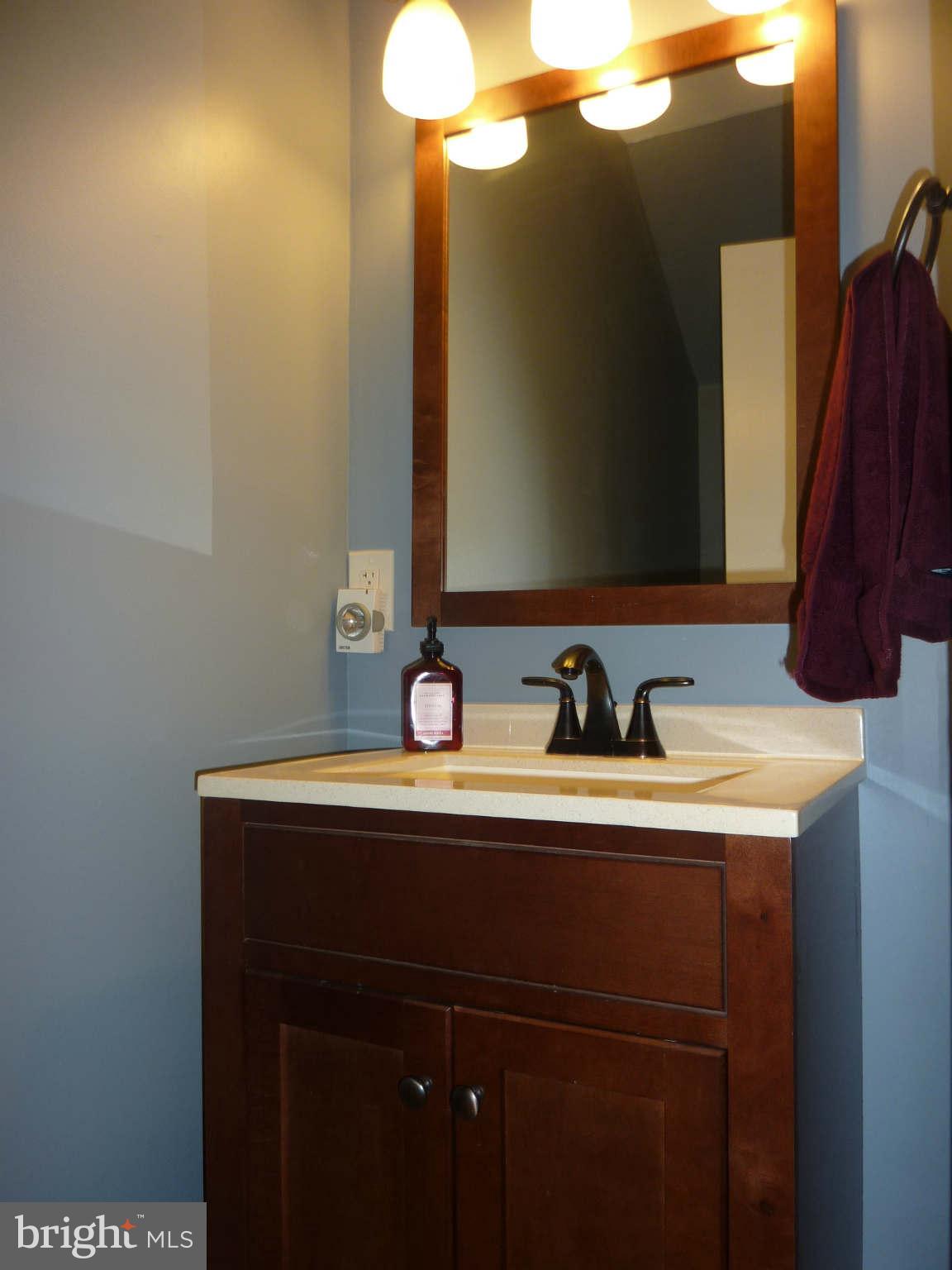 1304 Northgate Square Reston, VA 20190 - Photo 7 of 23 Powder room