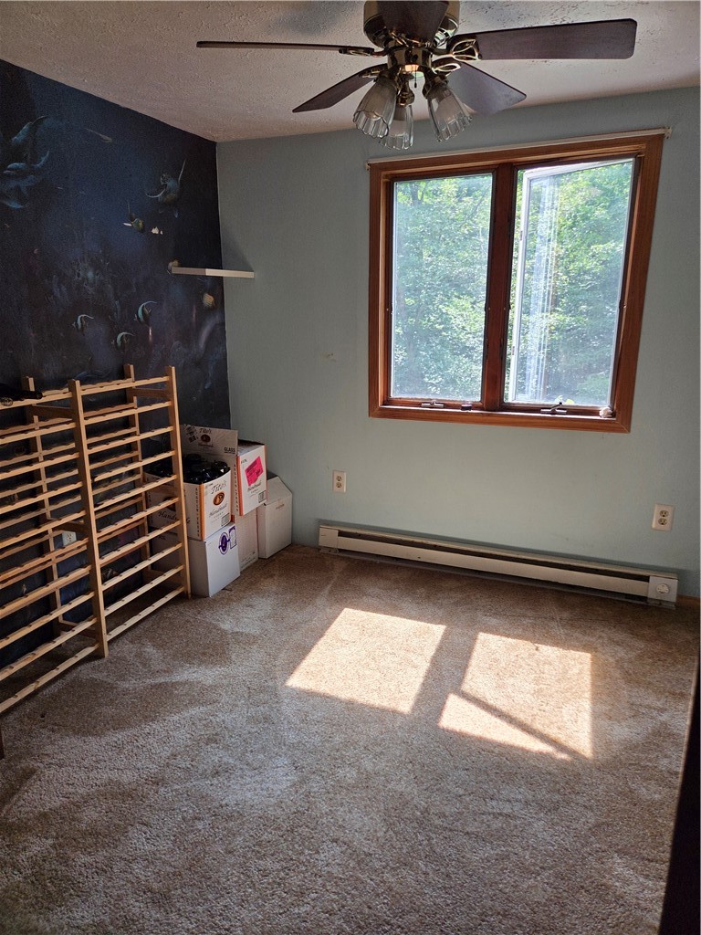 266 Rogers Road Ashland, NY 14894 - Photo 38 of 46 Gallery Image 38