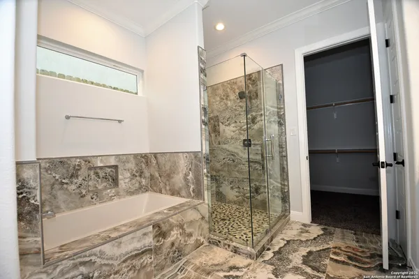 a bathroom with a bathtub and a shower