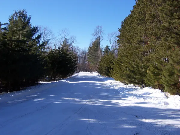 $85,000 | Xxx Xxx White Oak Drive, Webster, WI 54893