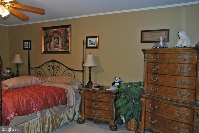 12453 Robin Road Culpeper, VA 22701 - Photo 11 of 15 Master Bedroom