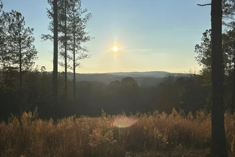 $120,000 | Lot 80 Mile Creek Road, Talking Rock, GA 30175