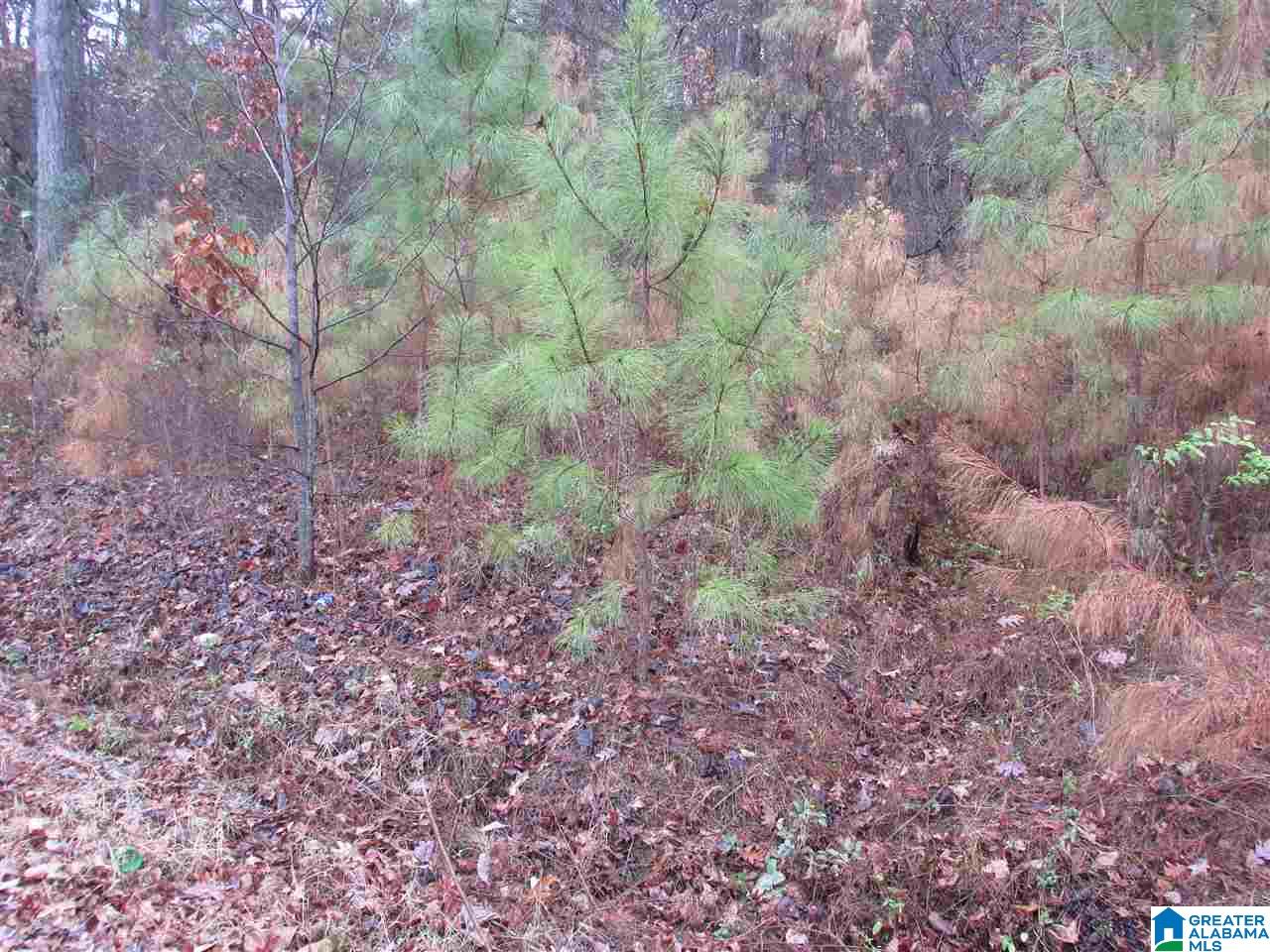 0 Spruce Lane, Unit 10 Oneonta, AL 35121 - Photo 1 of 2