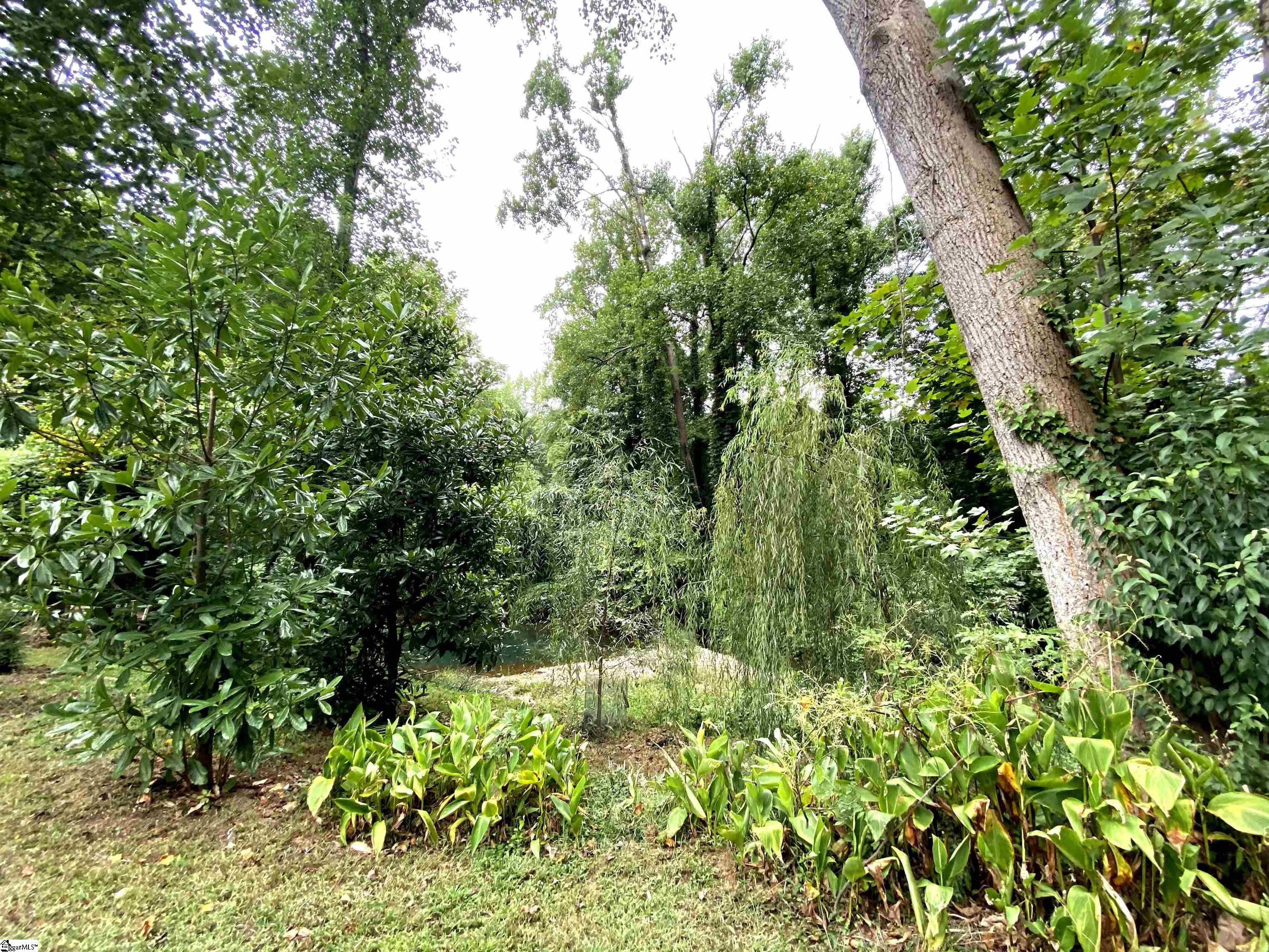 205 Pine Street Extension Greer, SC 29651 - Photo 38 of 42