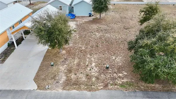 a view of a yard with plants