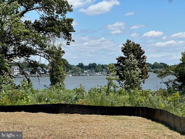 244 Waterstone Road Essex, MD 21221 - Photo 26 of 31 Gallery Image 26