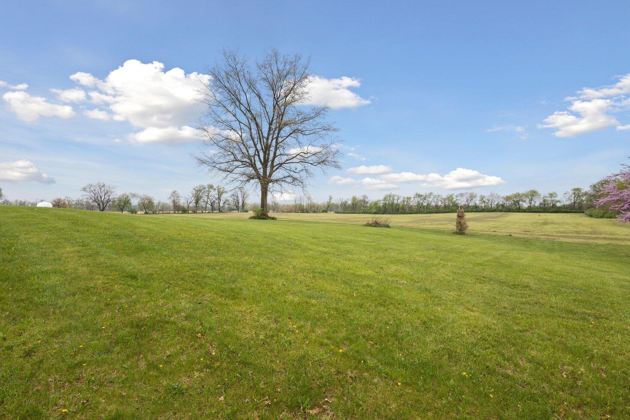 10607 22 Mile Road Marshall, MI 49068 - Photo 38 of 47 10607-22-Mile-Rd-Marshall-MI-49068-Windo