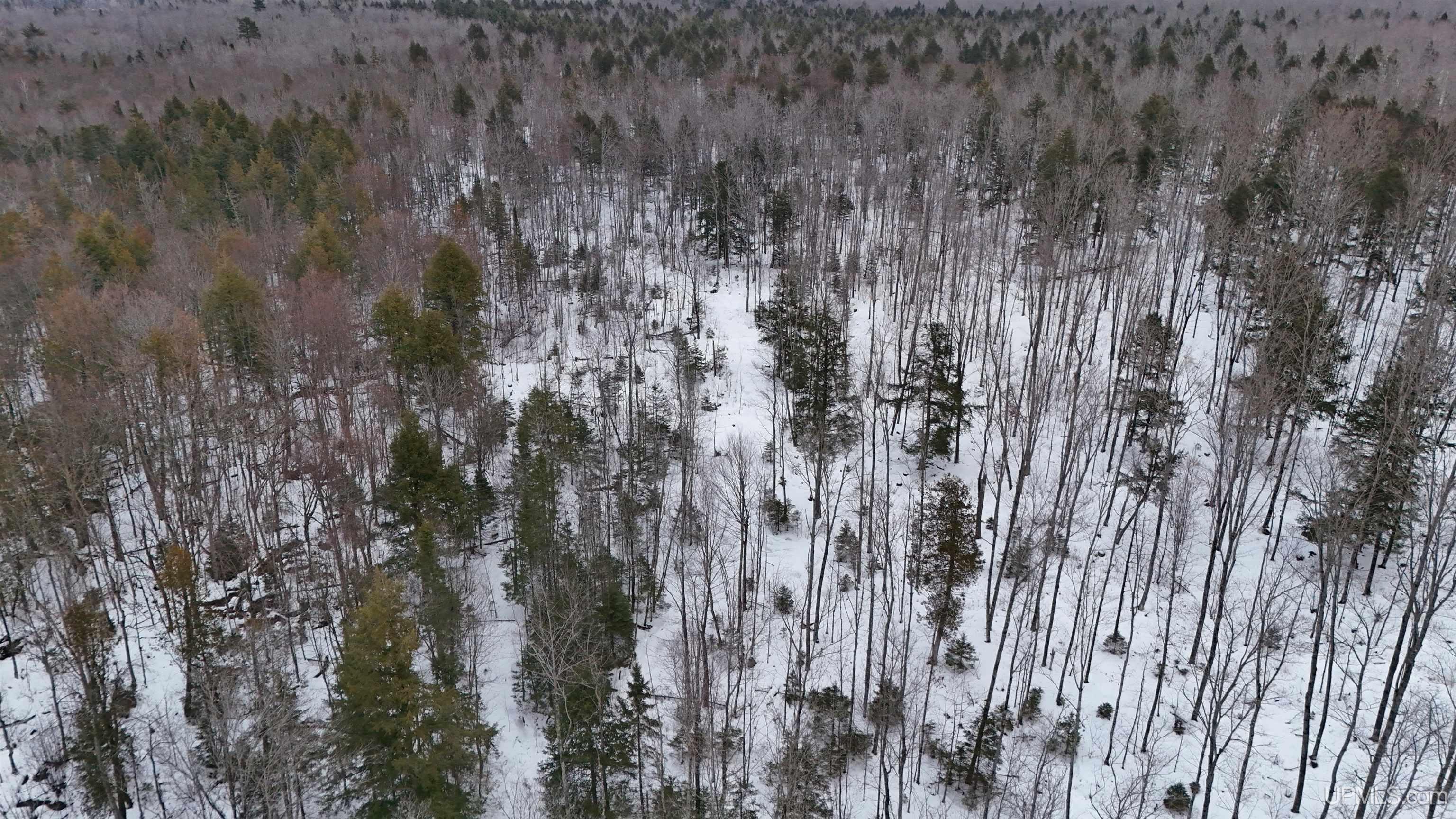 Tbd40 St Cyr Road Skanee, MI 49962 - Photo 14 of 16 Gallery Image 14