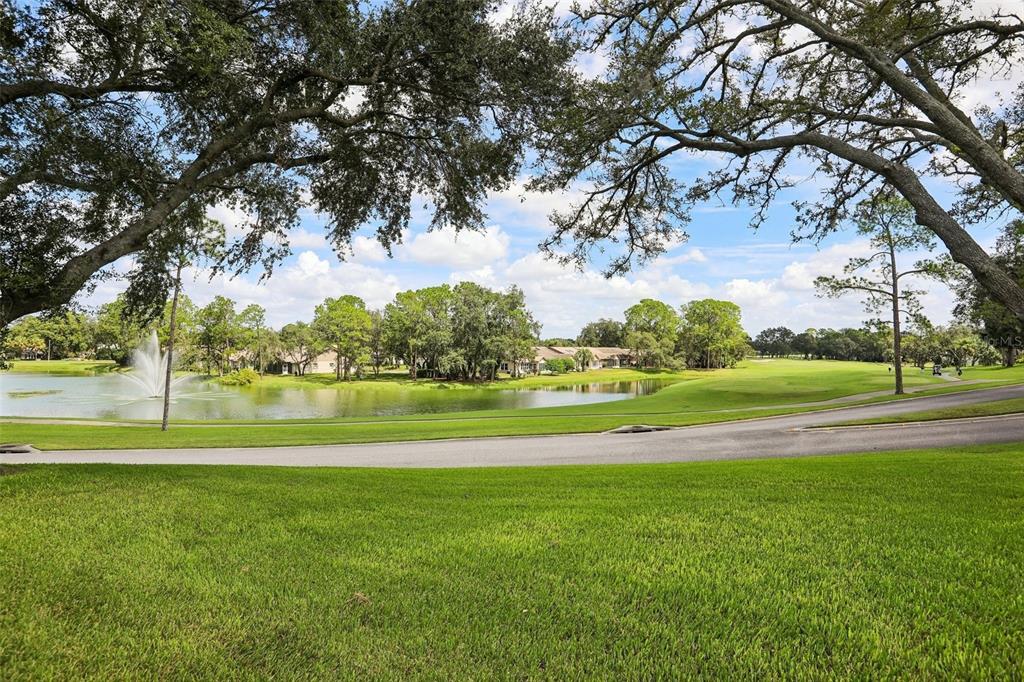 6615 Inverary Lane Spring Hill, FL 34606 - Photo 30 of 32 Gallery Image 30