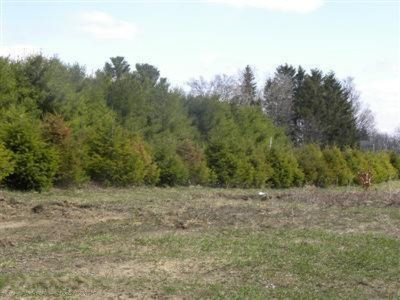 51077 Leach Road Dowagiac, MI 49047 - Photo 3 of 4 Leach Rd 3.jpg