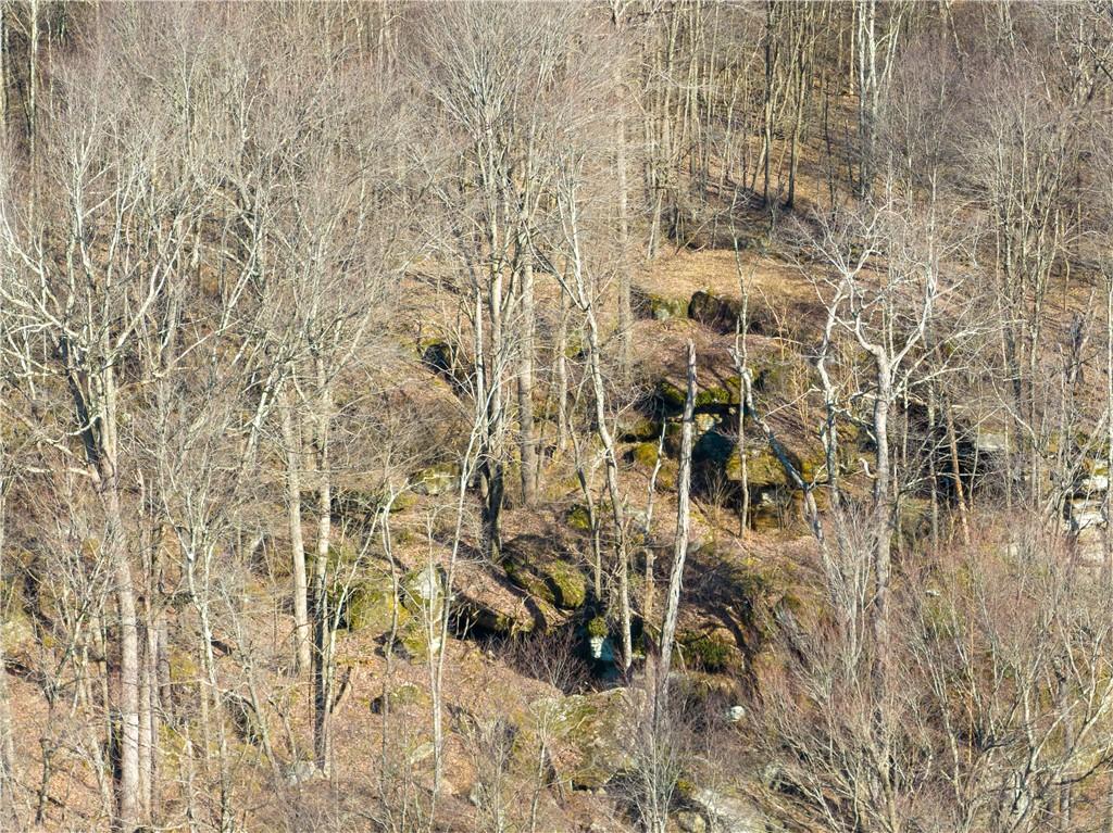 0 Dog Hollow Road Kennerdell, PA 16374 - Photo 12 of 15 Gallery Image 12