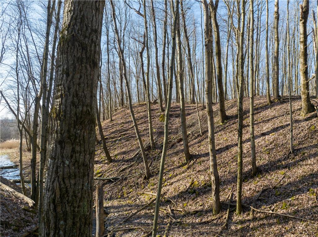 0 Dog Hollow Road Kennerdell, PA 16374 - Photo 3 of 15 Gallery Image 3