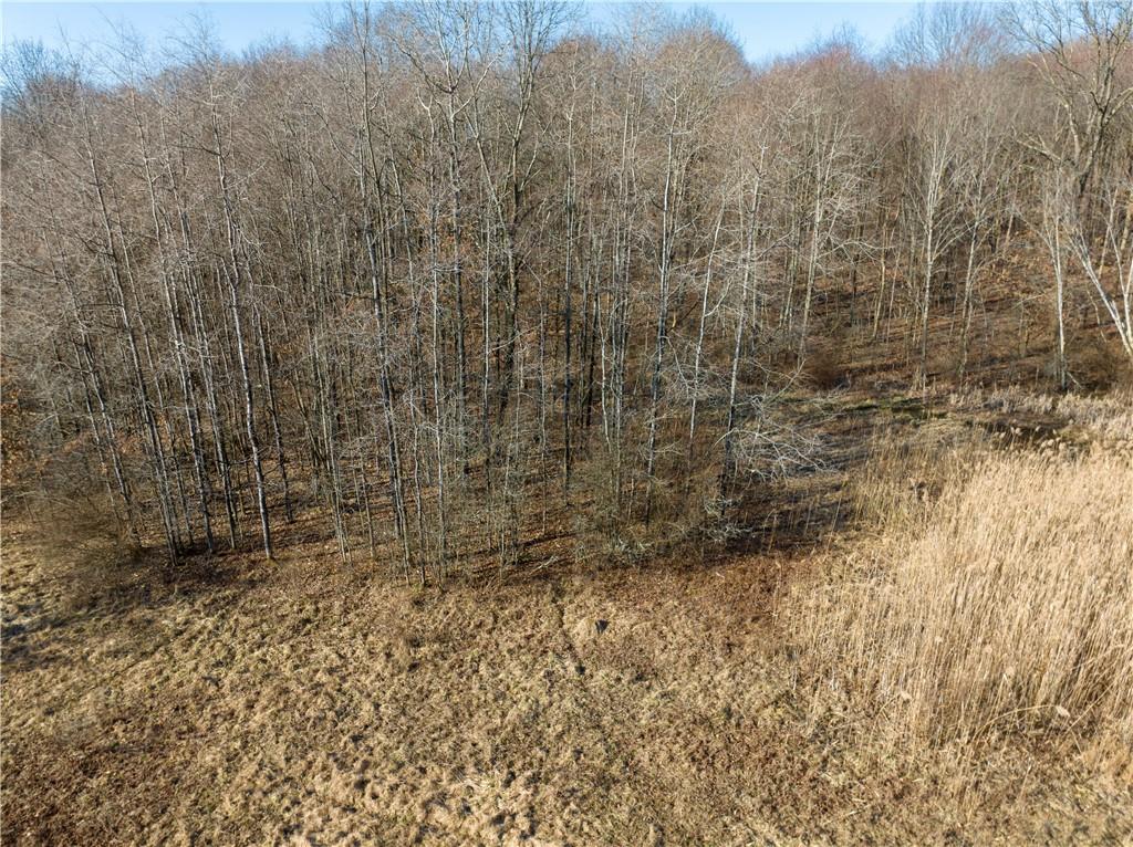 0 Dog Hollow Road Kennerdell, PA 16374 - Photo 6 of 15 Gallery Image 6
