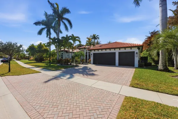 a view of a backyard and palm tree