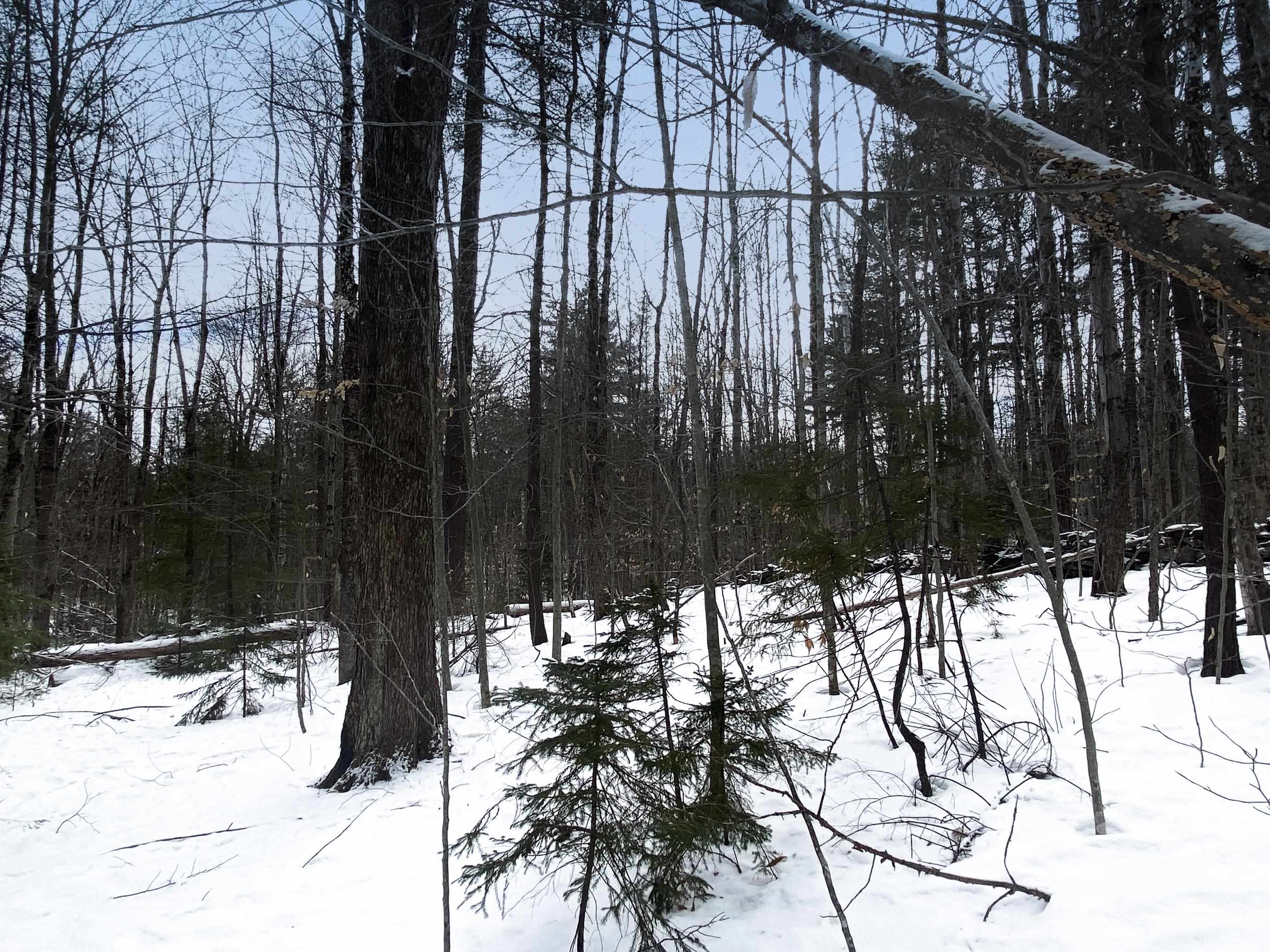 0 Connecticut Heights Road, Unit M236 L003 South Acworth, NH 03607 - Photo 3 of 11 Gallery Image 3