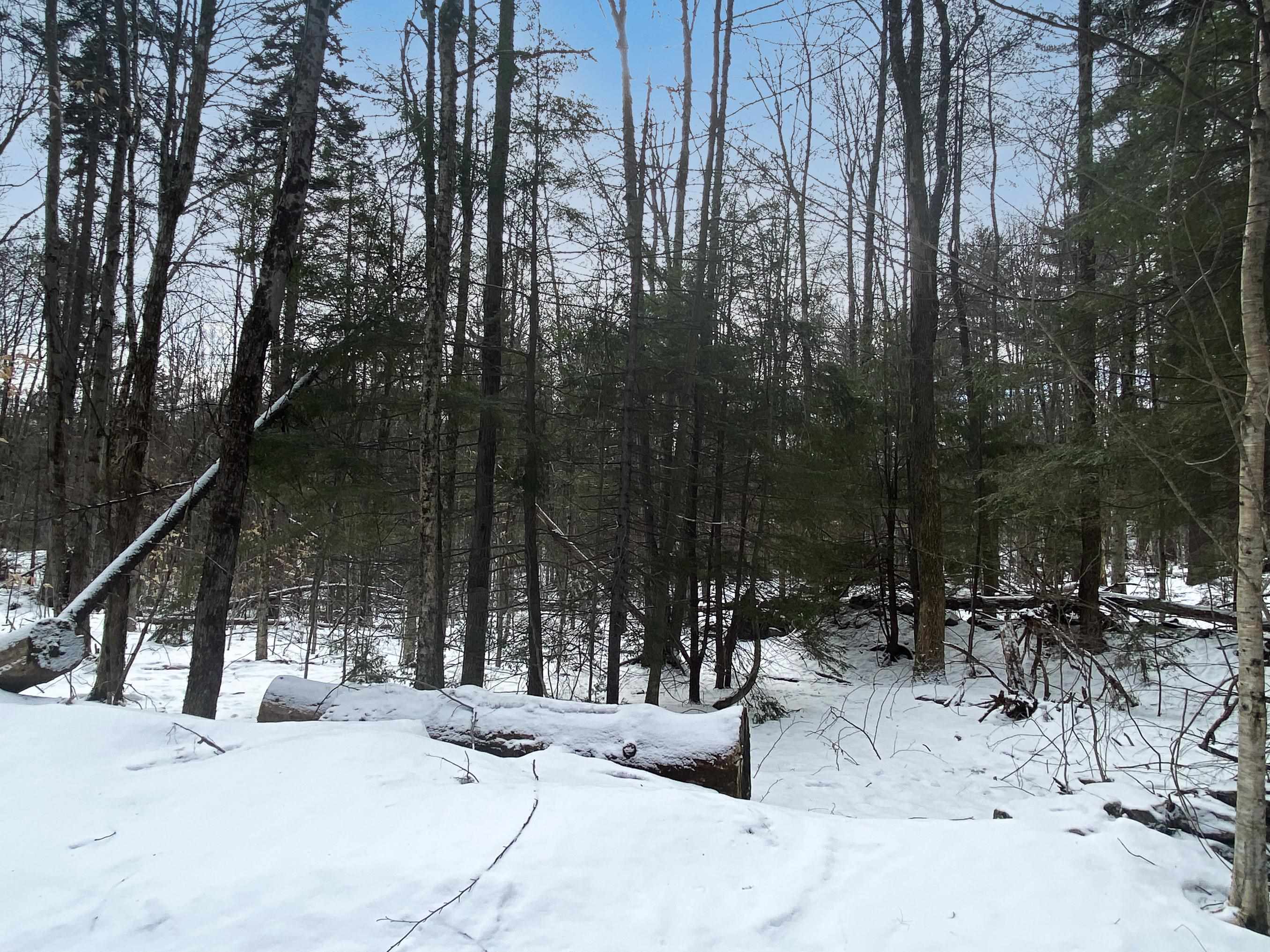 0 Connecticut Heights Road, Unit M236 L003 South Acworth, NH 03607 - Photo 4 of 11 Gallery Image 4