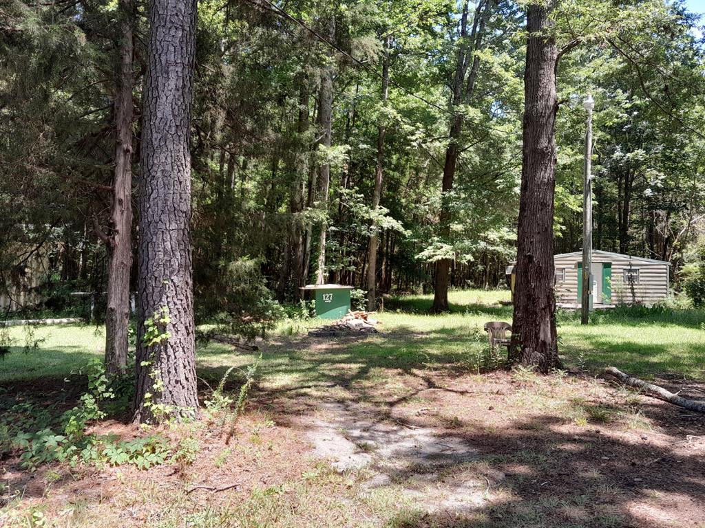 0 Near Thomas Walters Road, Unit TRACT B Pineville, SC 29468 - Photo 3 of 4 Photo 3