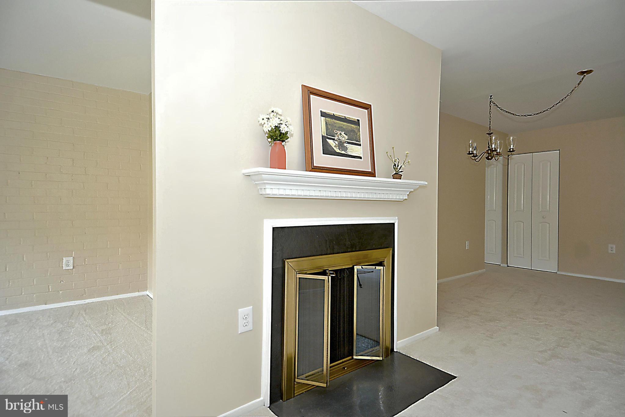 10026 Stedwick Road, Unit 203 Gaithersburg, MD 20886 - Photo 13 of 26 Fireplace