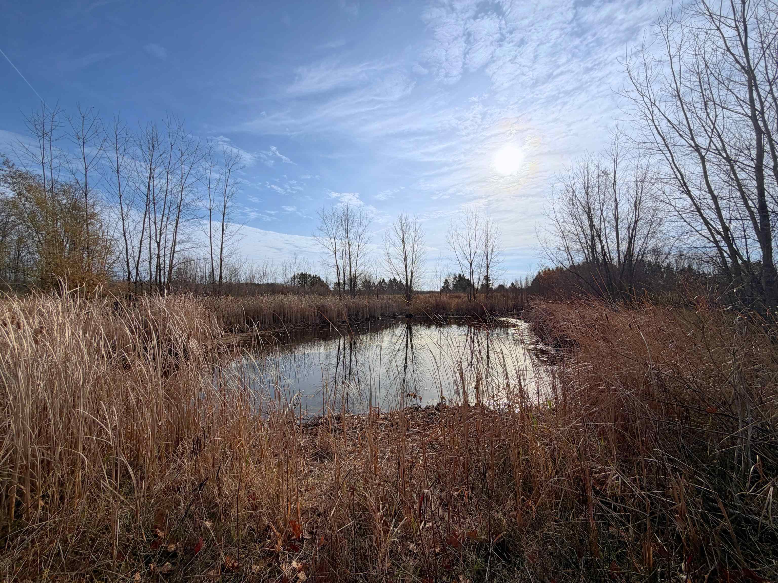 5850 North Ritchie Road Pinconning, MI 48650 - Photo 41 of 50