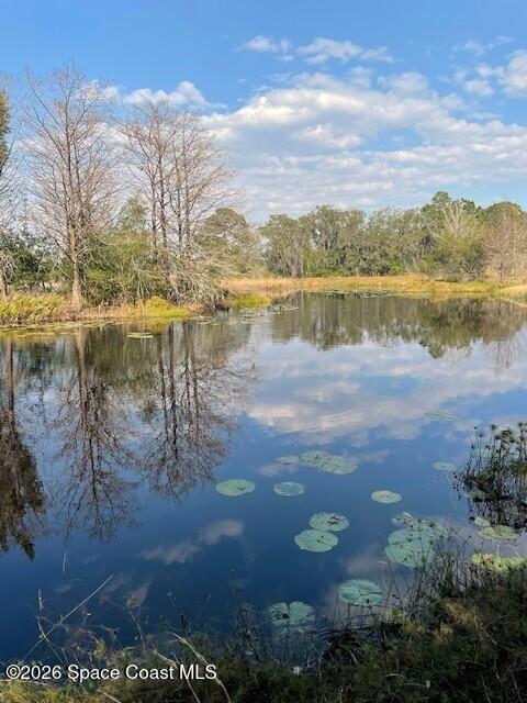 3624 Thal Road Titusville, FL 32796 - Photo 2 of 26 Thal Water View