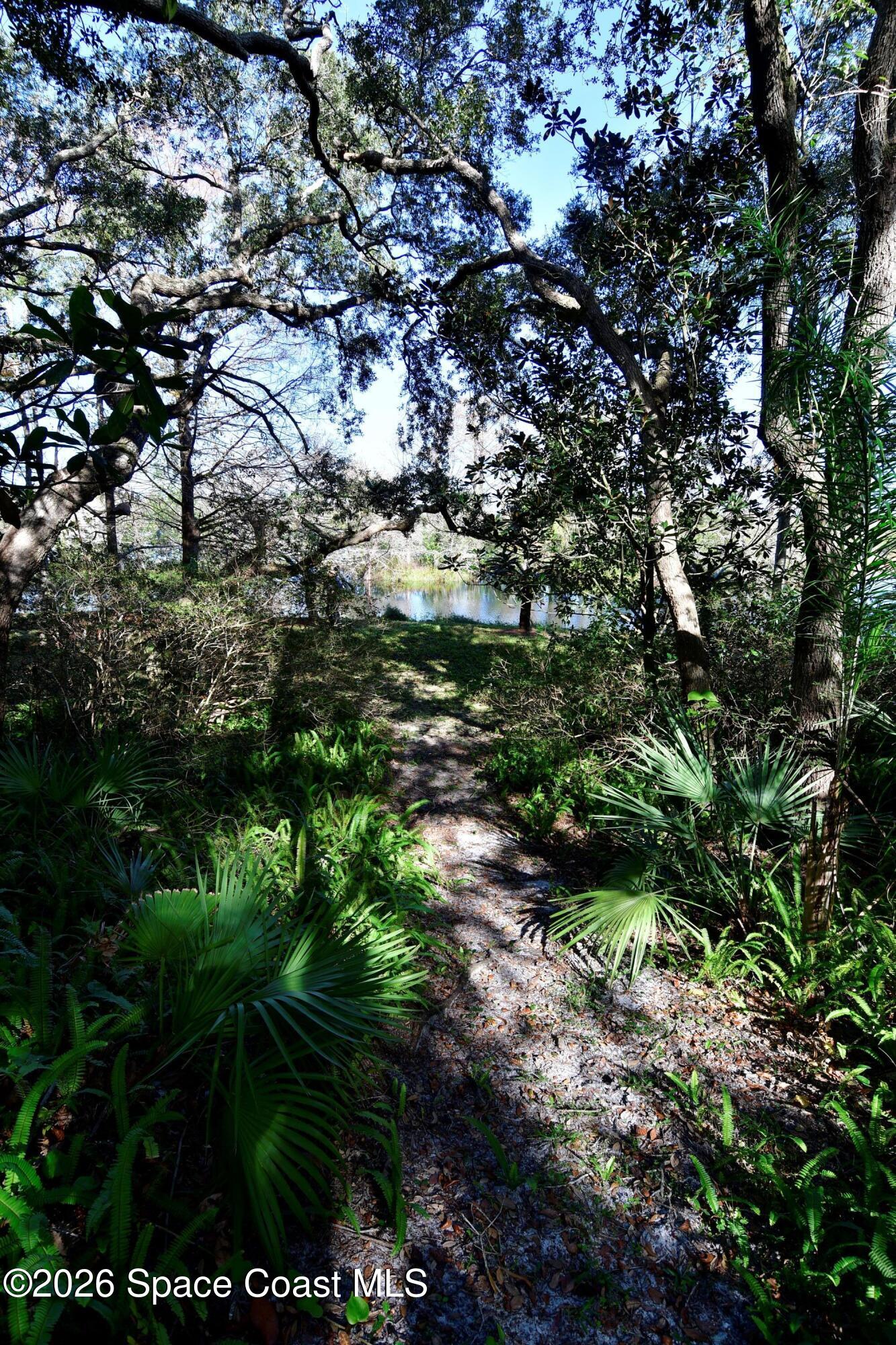 3624 Thal Road Titusville, FL 32796 - Photo 6 of 26 Walkway from house to Pond