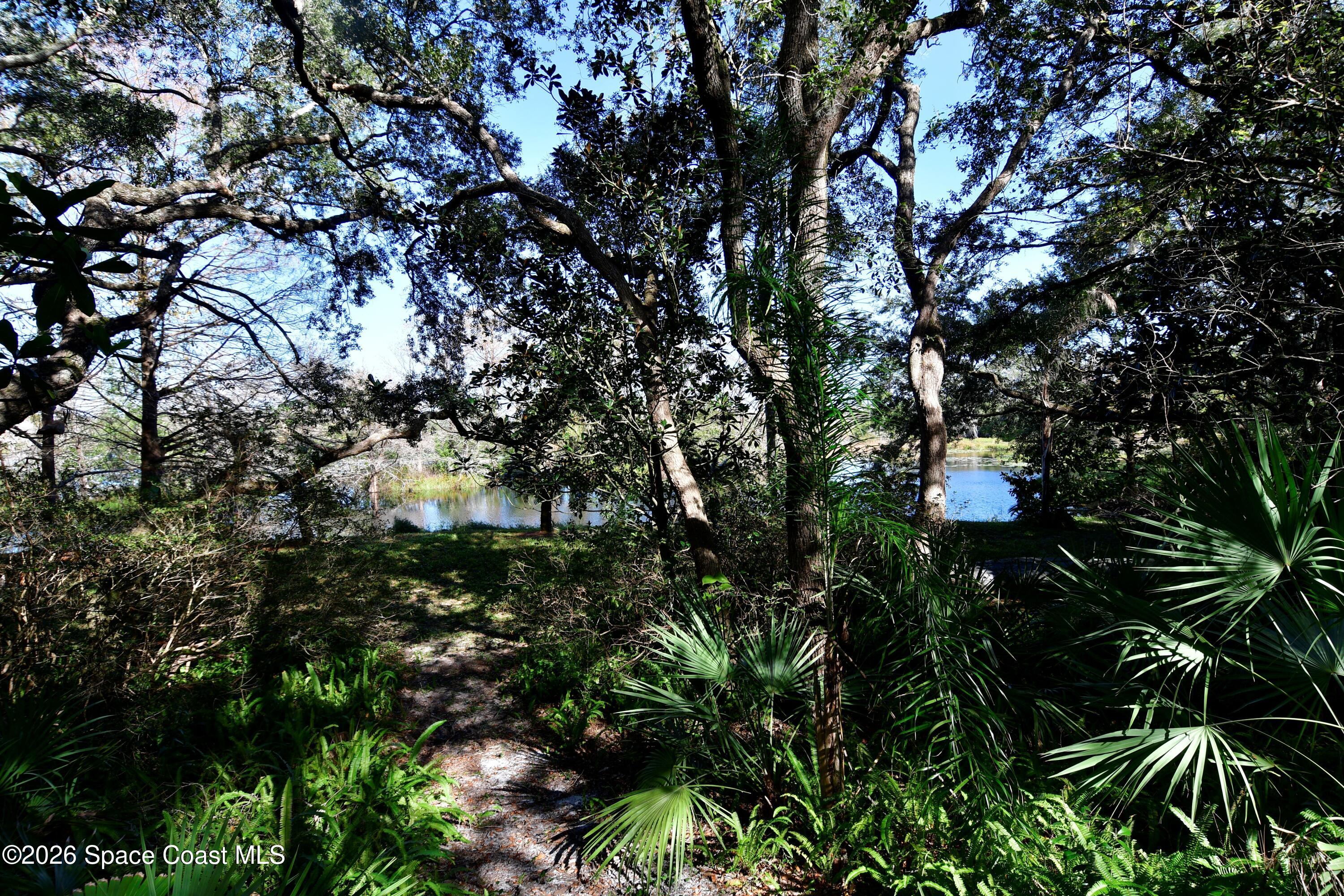 3624 Thal Road Titusville, FL 32796 - Photo 7 of 26 wooded Lawn