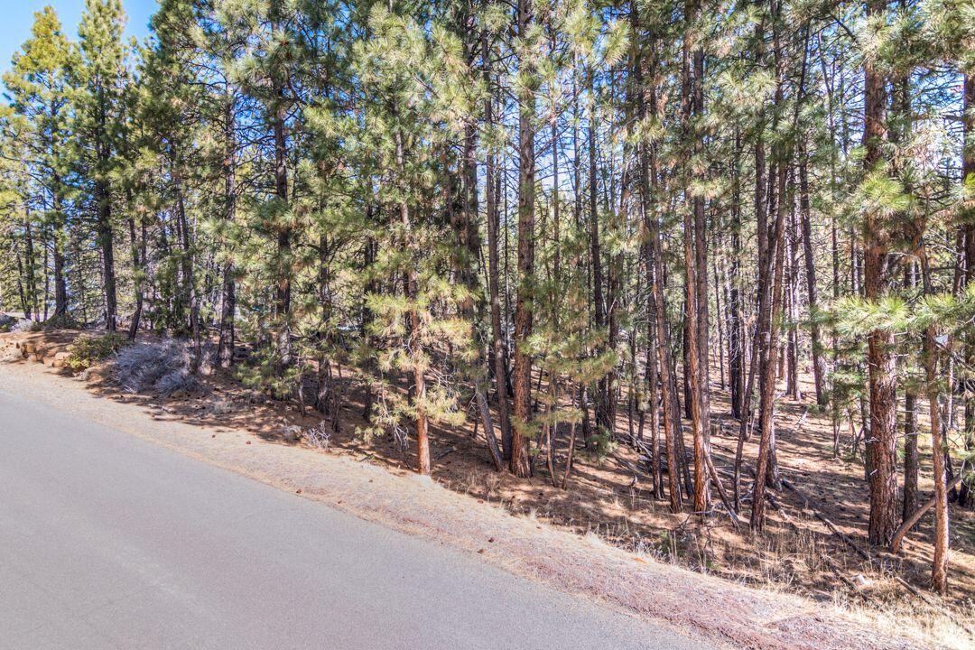 60042 Turquoise Road Bend, OR 97702 - Photo 3 of 11 3