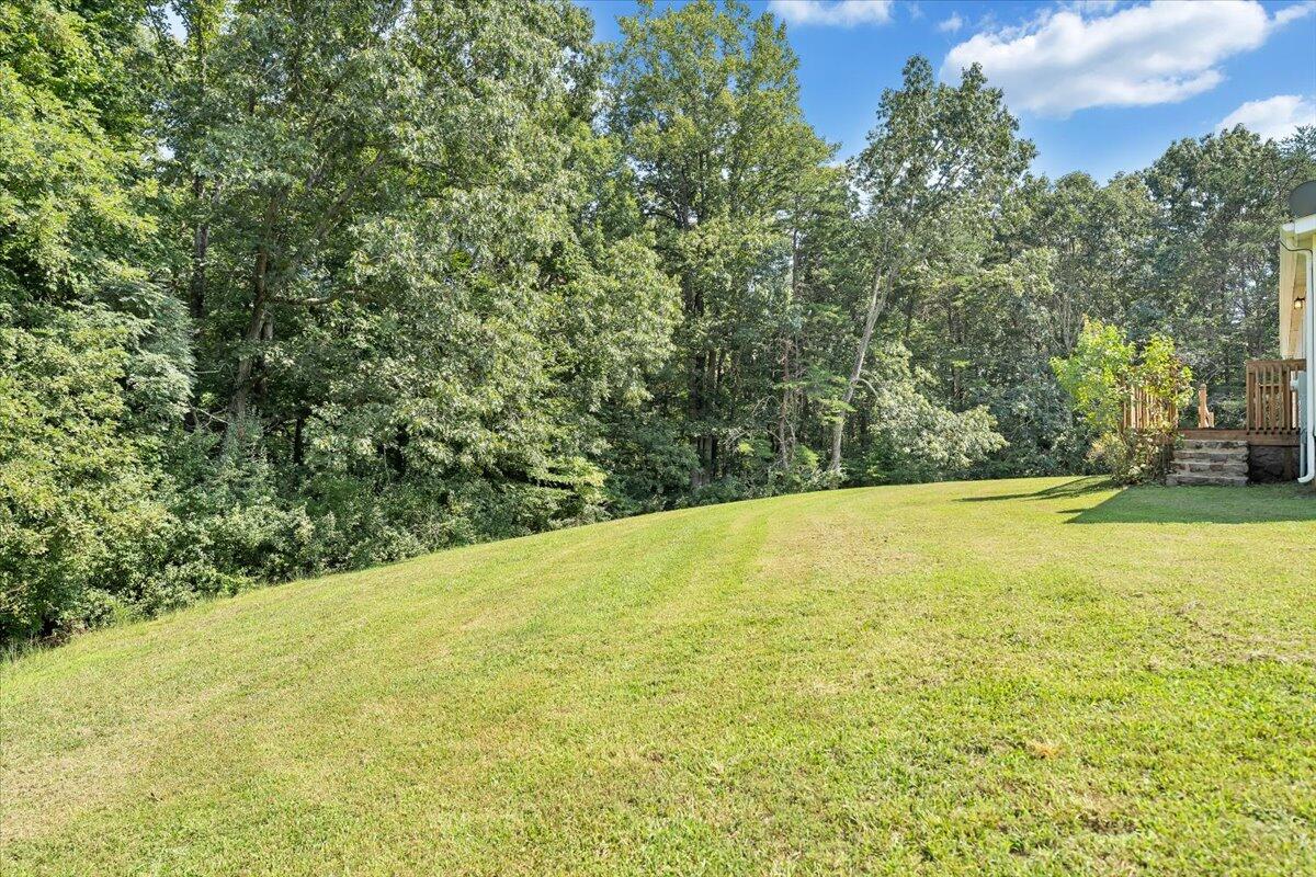 1102 Thomasson Mill Road Goodview, VA 24095 - Photo 32 of 45 a view of outdoor space and yard