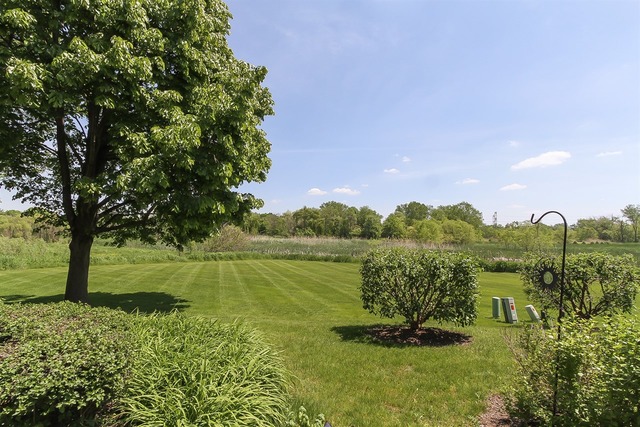 1230 Coldspring Road, Unit 1230 Elgin, IL 60120 - Photo 20 of 21 a view of a lake with a yard