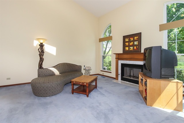 1230 Coldspring Road, Unit 1230 Elgin, IL 60120 - Photo 4 of 21 a living room with furniture and a fireplace