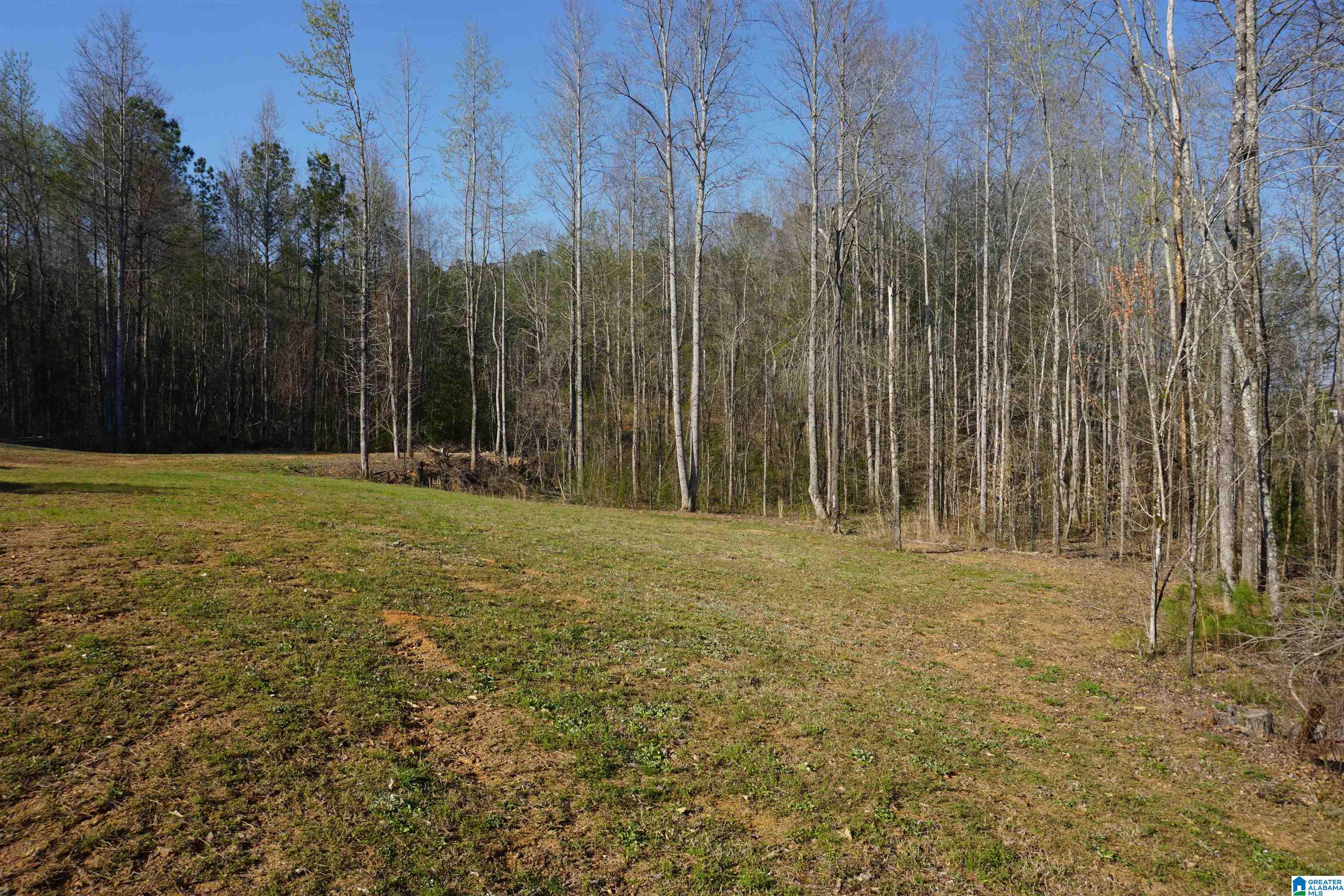 12567 County Road 15 Wedowee, AL 36278 - Photo 25 of 28