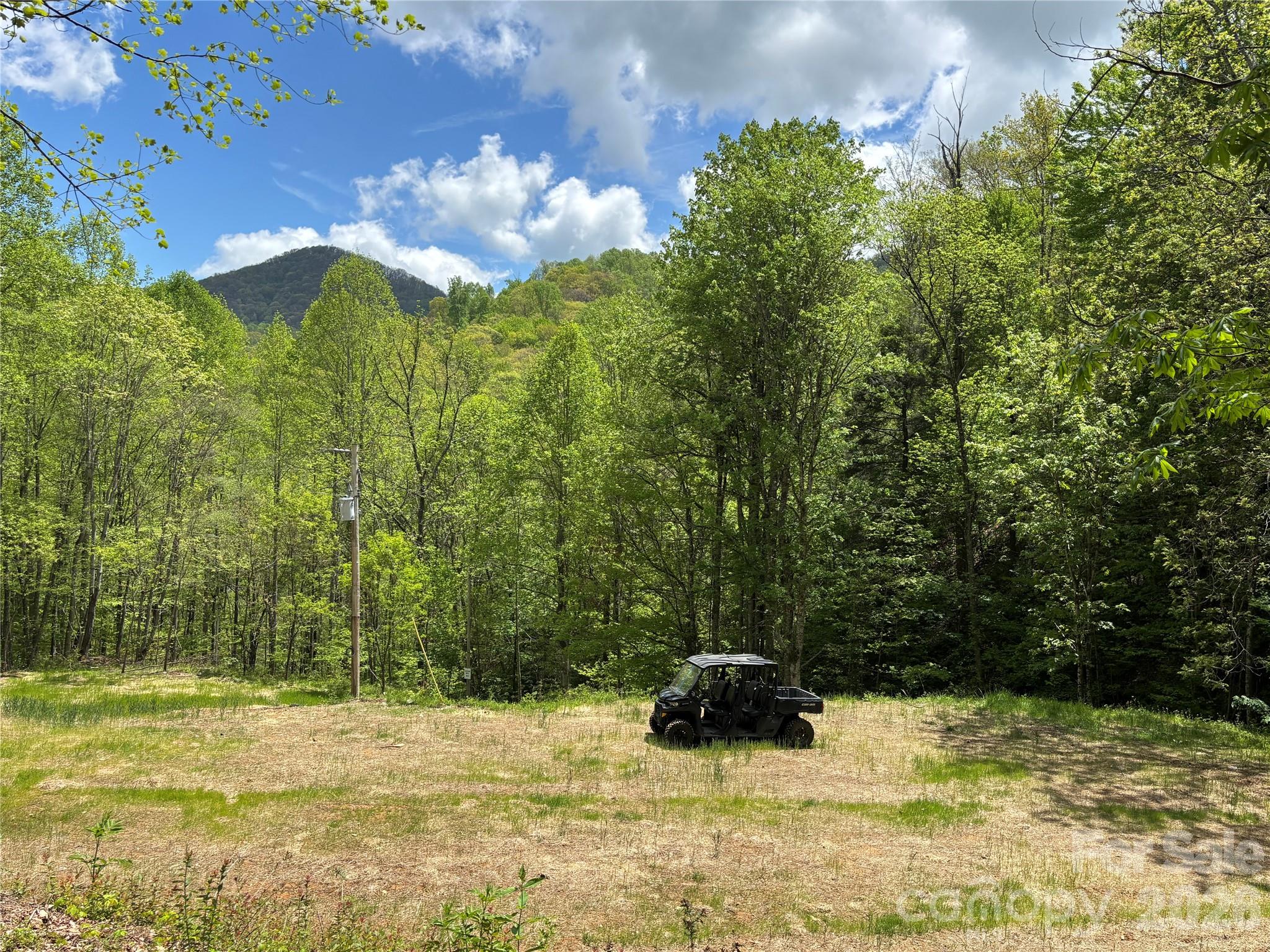 South Lot) Meadow Fork Road Hot Springs, NC 28743 - Photo 1 of 22