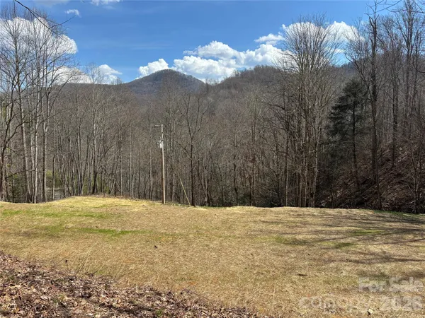 $159,900 | South Lot) Meadow Fork Road, Hot Springs, NC 28743