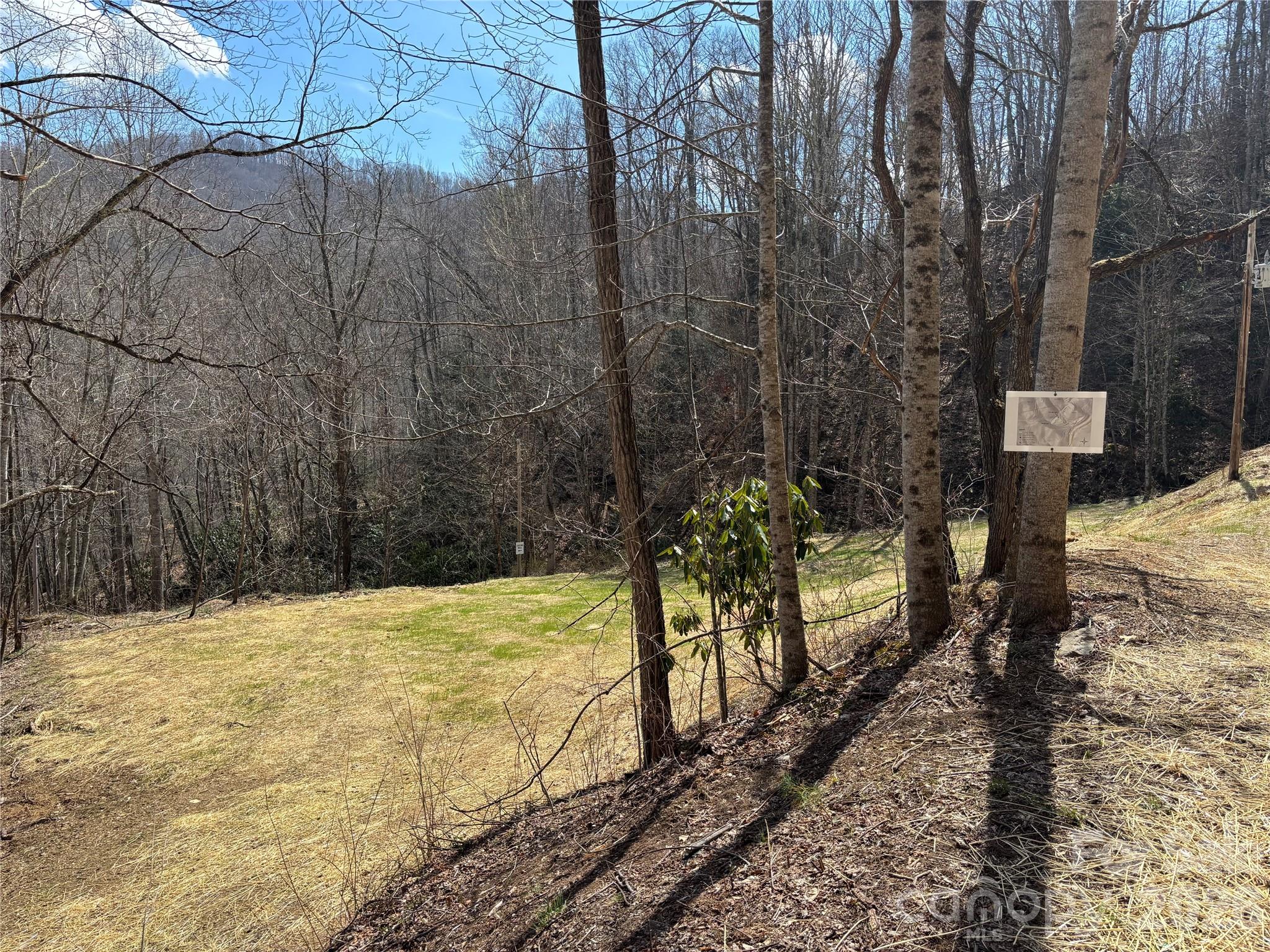 South Lot) Meadow Fork Road Hot Springs, NC 28743 - Photo 11 of 22