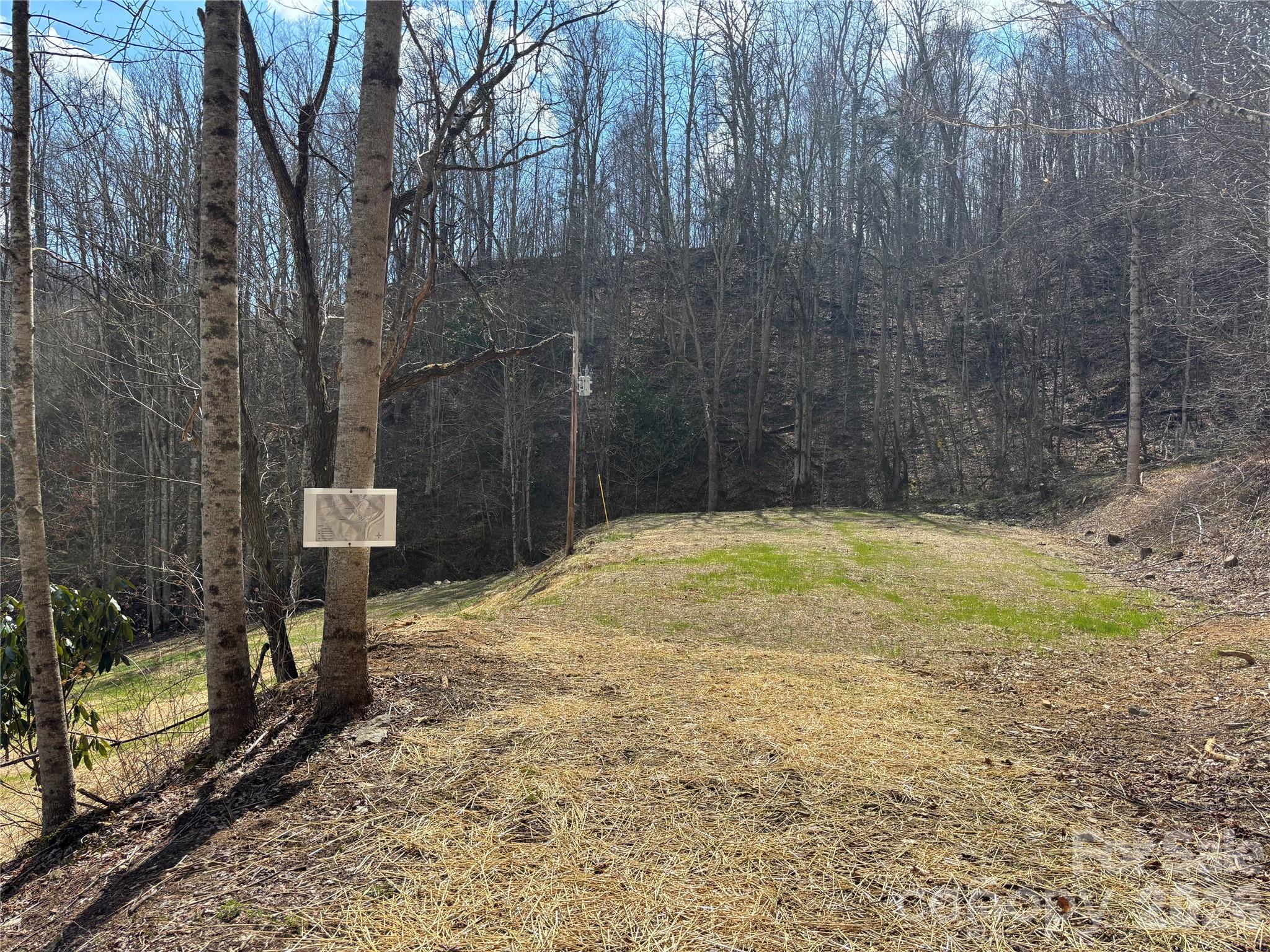 South Lot) Meadow Fork Road Hot Springs, NC 28743 - Photo 12 of 22