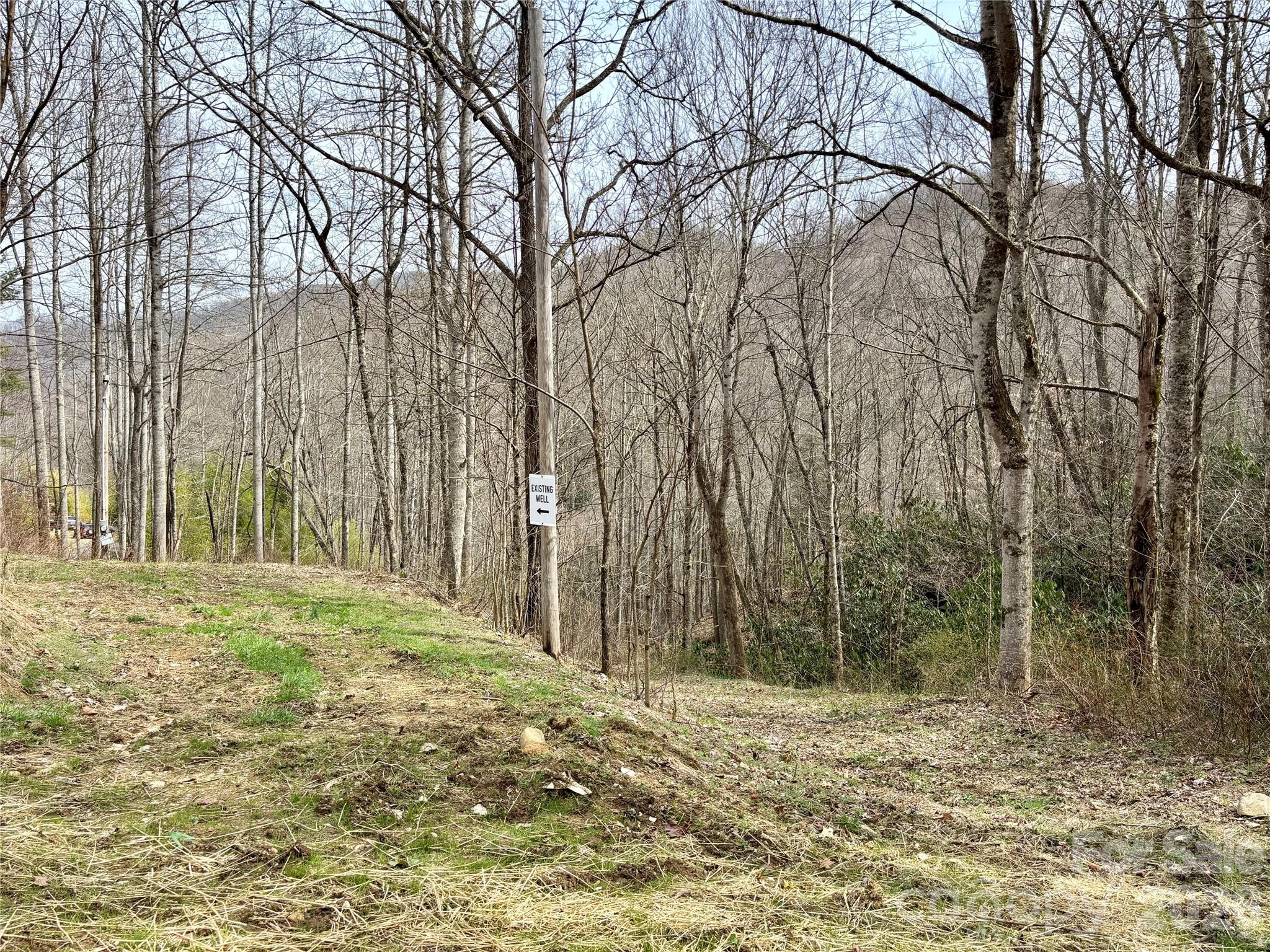 South Lot) Meadow Fork Road Hot Springs, NC 28743 - Photo 13 of 22