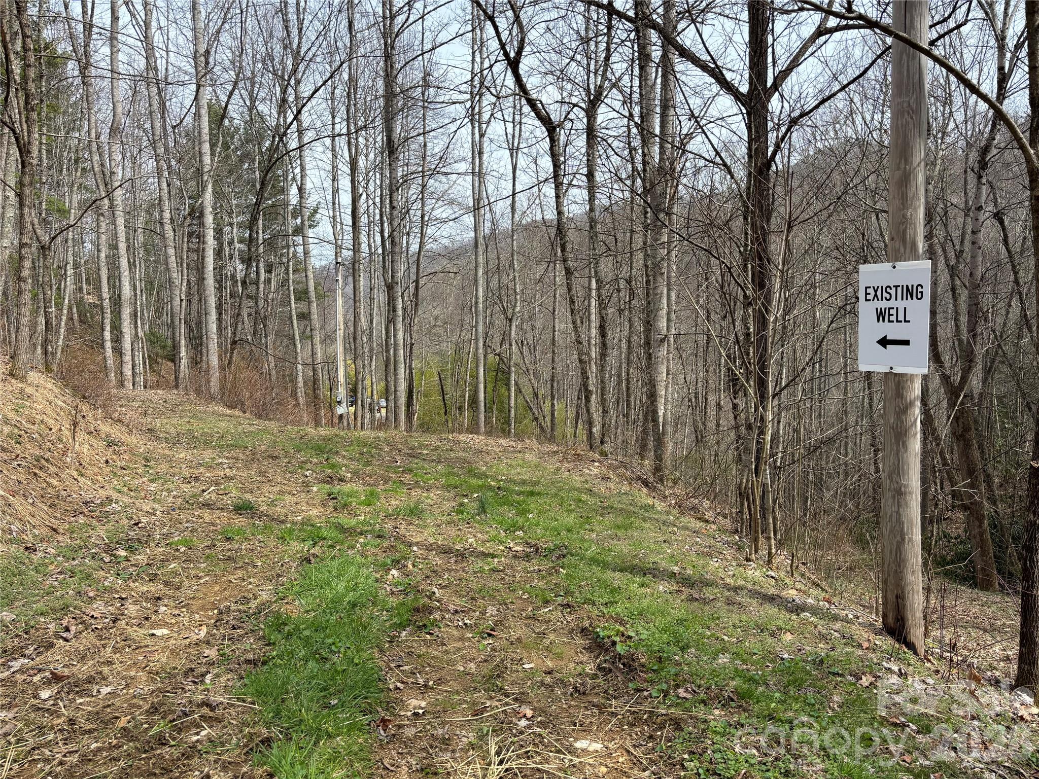 South Lot) Meadow Fork Road Hot Springs, NC 28743 - Photo 14 of 22