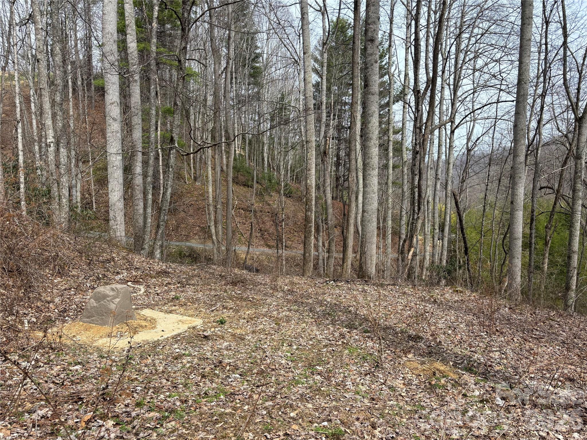 South Lot) Meadow Fork Road Hot Springs, NC 28743 - Photo 15 of 22
