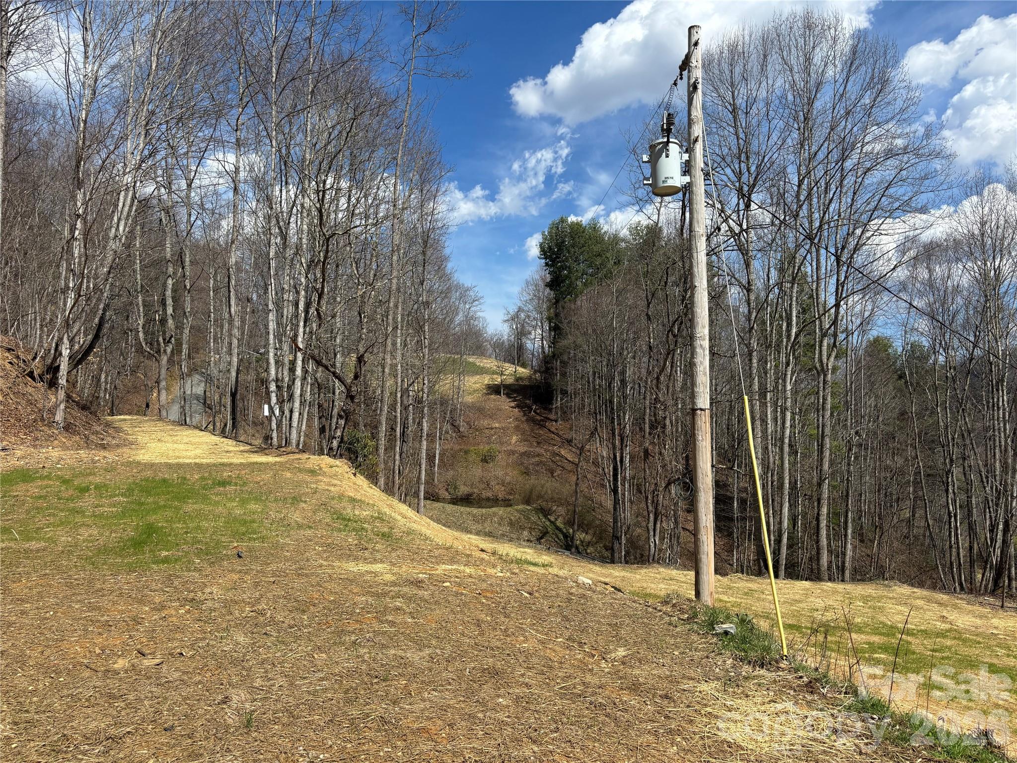 South Lot) Meadow Fork Road Hot Springs, NC 28743 - Photo 16 of 22