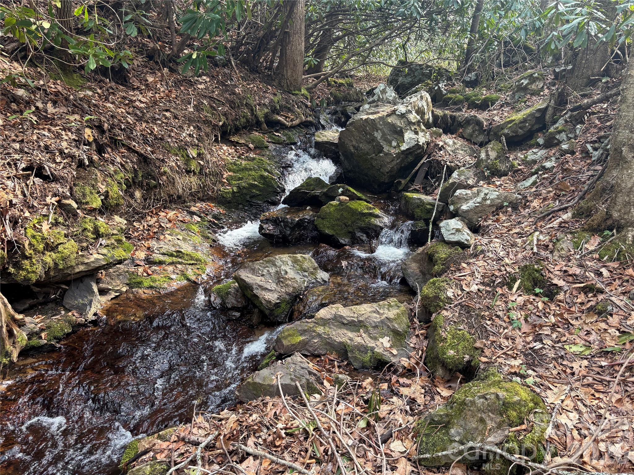 South Lot) Meadow Fork Road Hot Springs, NC 28743 - Photo 17 of 22