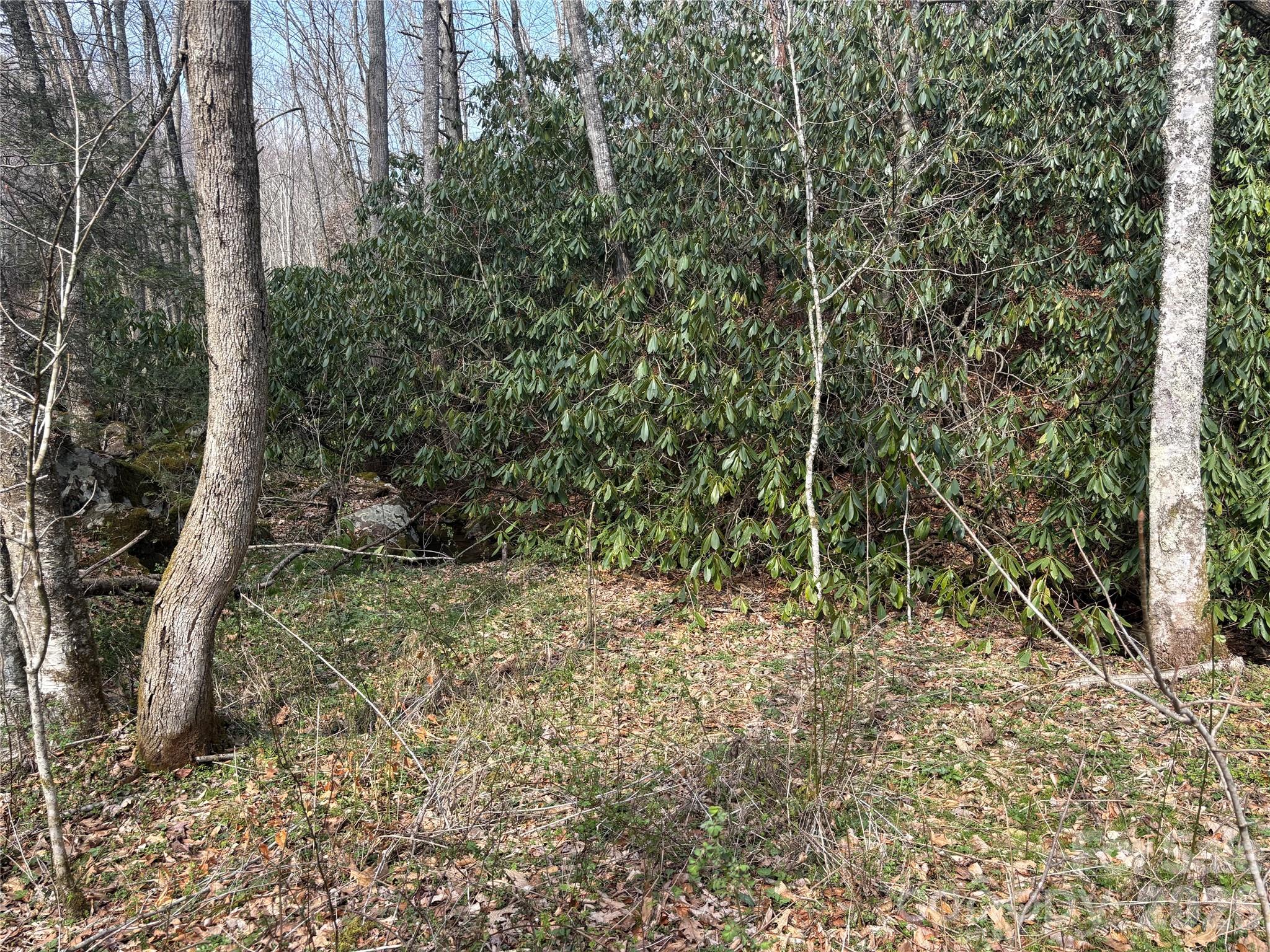 South Lot) Meadow Fork Road Hot Springs, NC 28743 - Photo 18 of 22