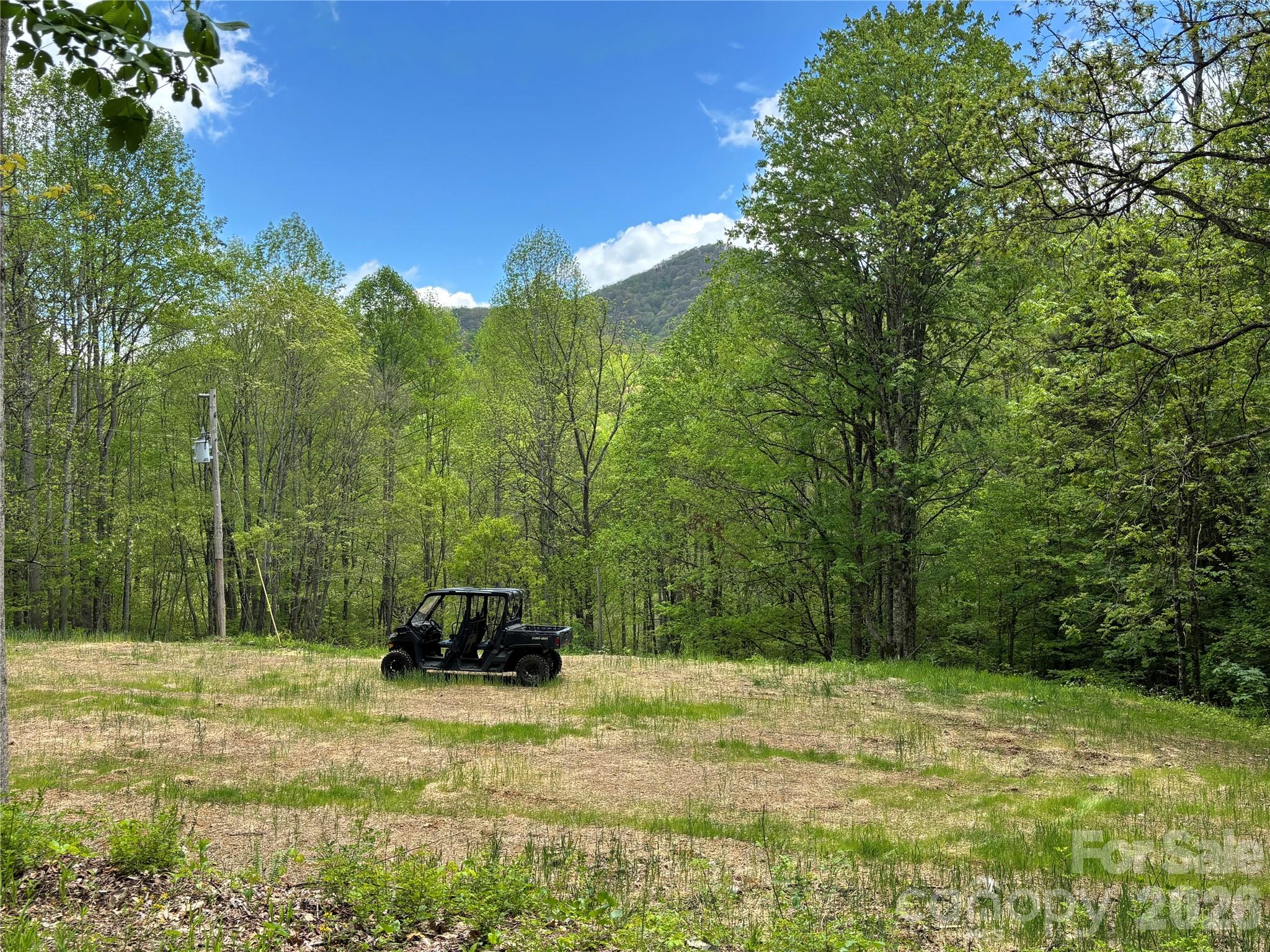South Lot) Meadow Fork Road Hot Springs, NC 28743 - Photo 2 of 22