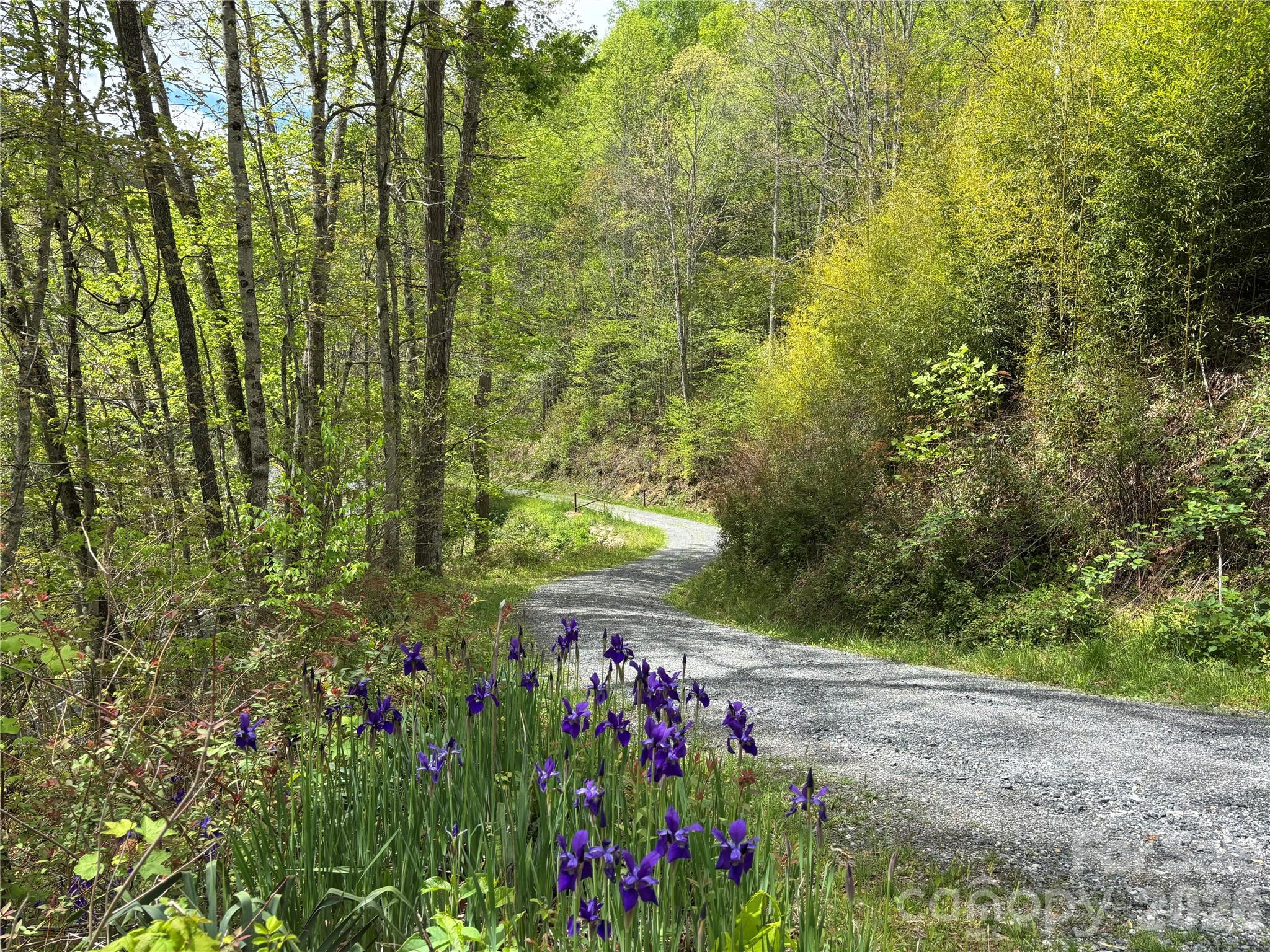 South Lot) Meadow Fork Road Hot Springs, NC 28743 - Photo 21 of 22
