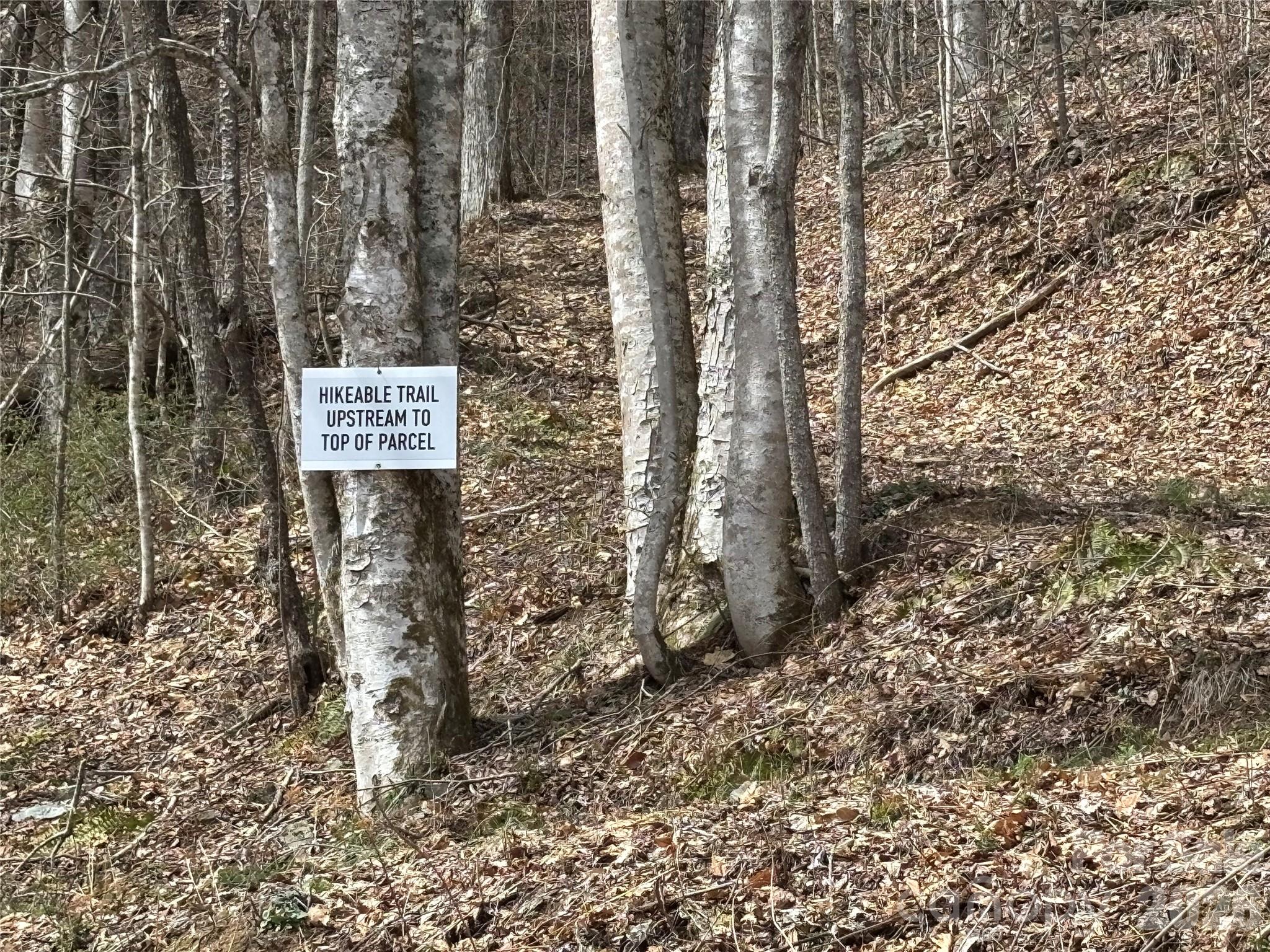 South Lot) Meadow Fork Road Hot Springs, NC 28743 - Photo 22 of 22
