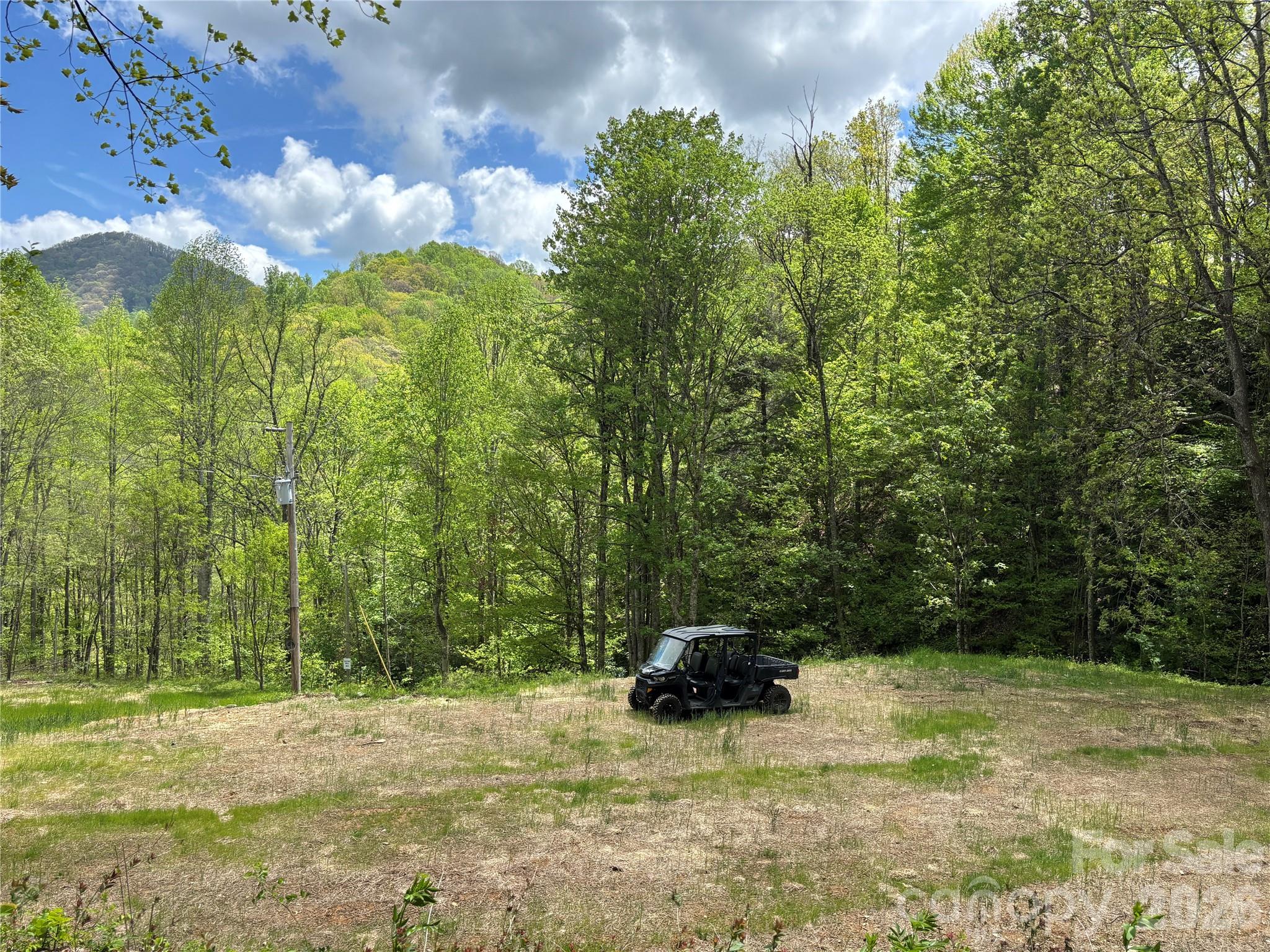 South Lot) Meadow Fork Road Hot Springs, NC 28743 - Photo 3 of 22