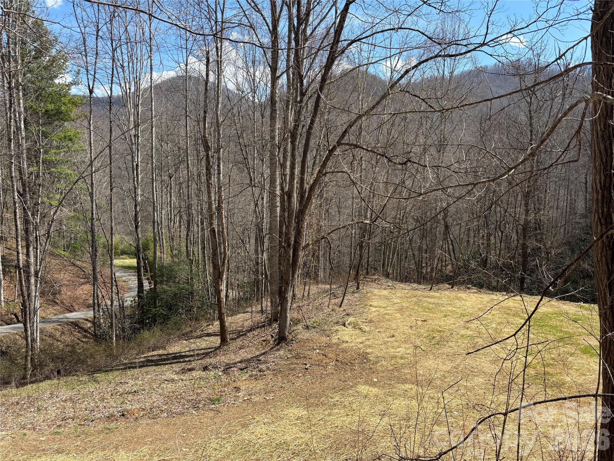 South Lot) Meadow Fork Road Hot Springs, NC 28743 - Photo 4 of 22
