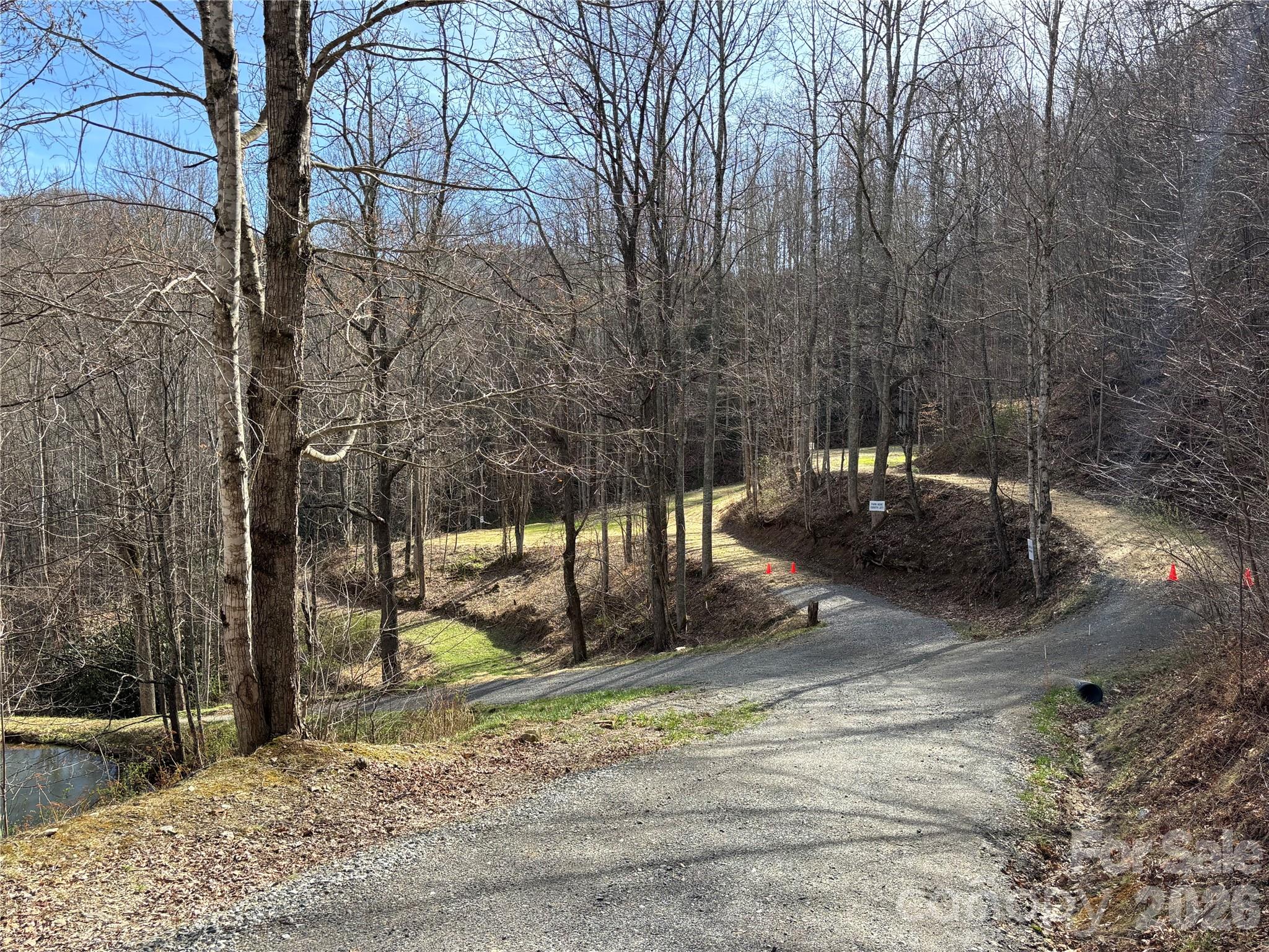 South Lot) Meadow Fork Road Hot Springs, NC 28743 - Photo 7 of 22