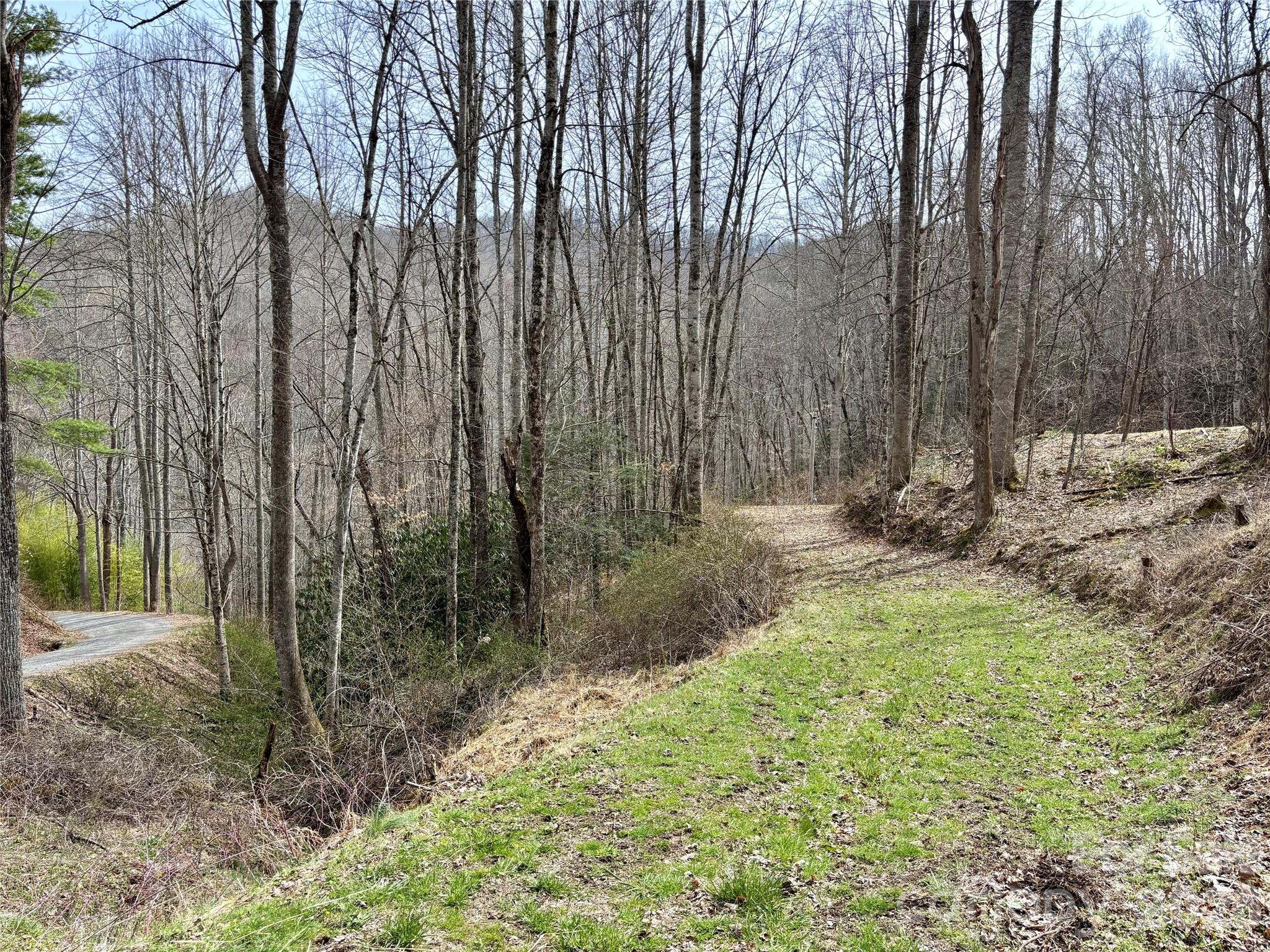 South Lot) Meadow Fork Road Hot Springs, NC 28743 - Photo 8 of 22